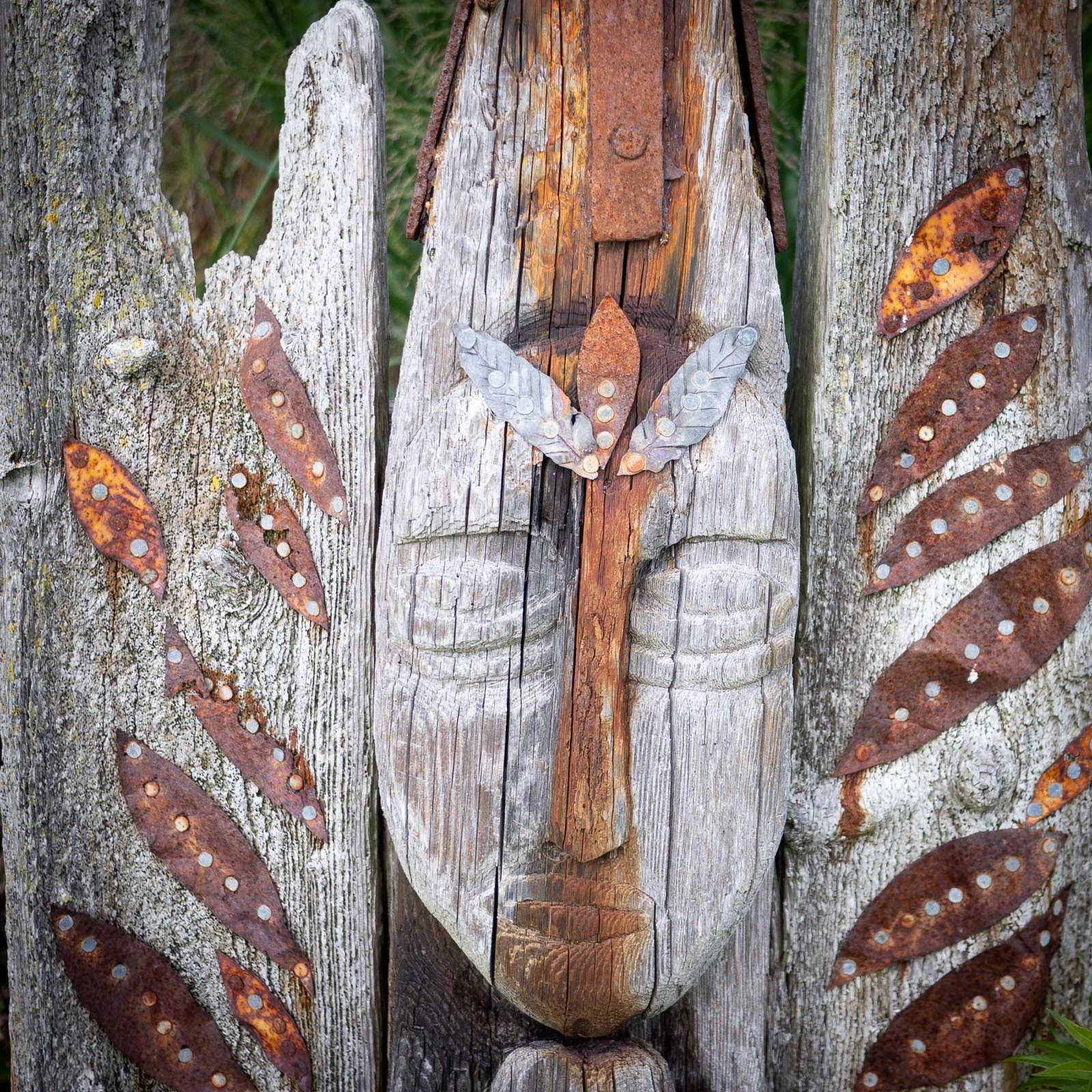 20220929 Face, Praire Gardens