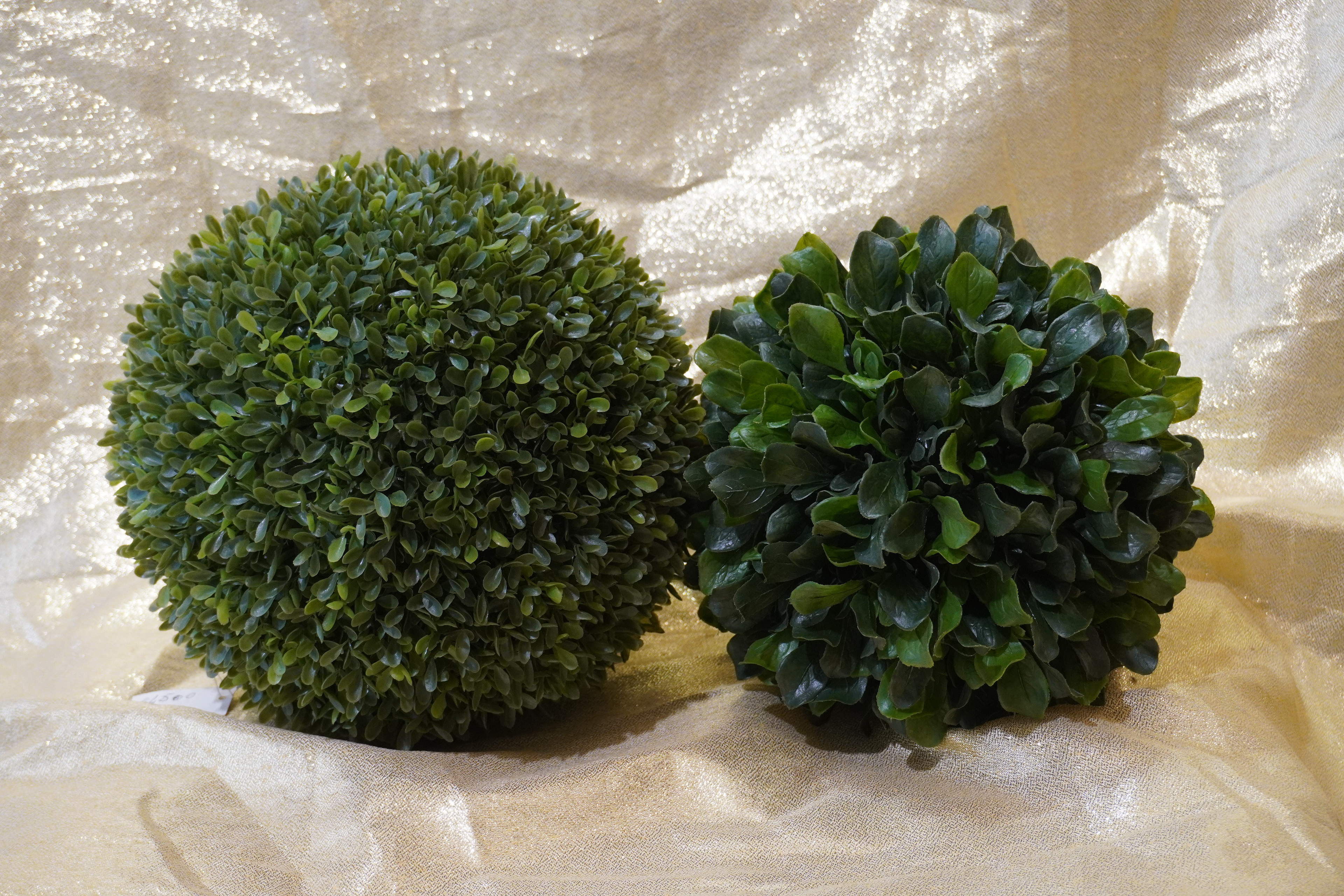 Pianta sfera  euro 2 pezzi