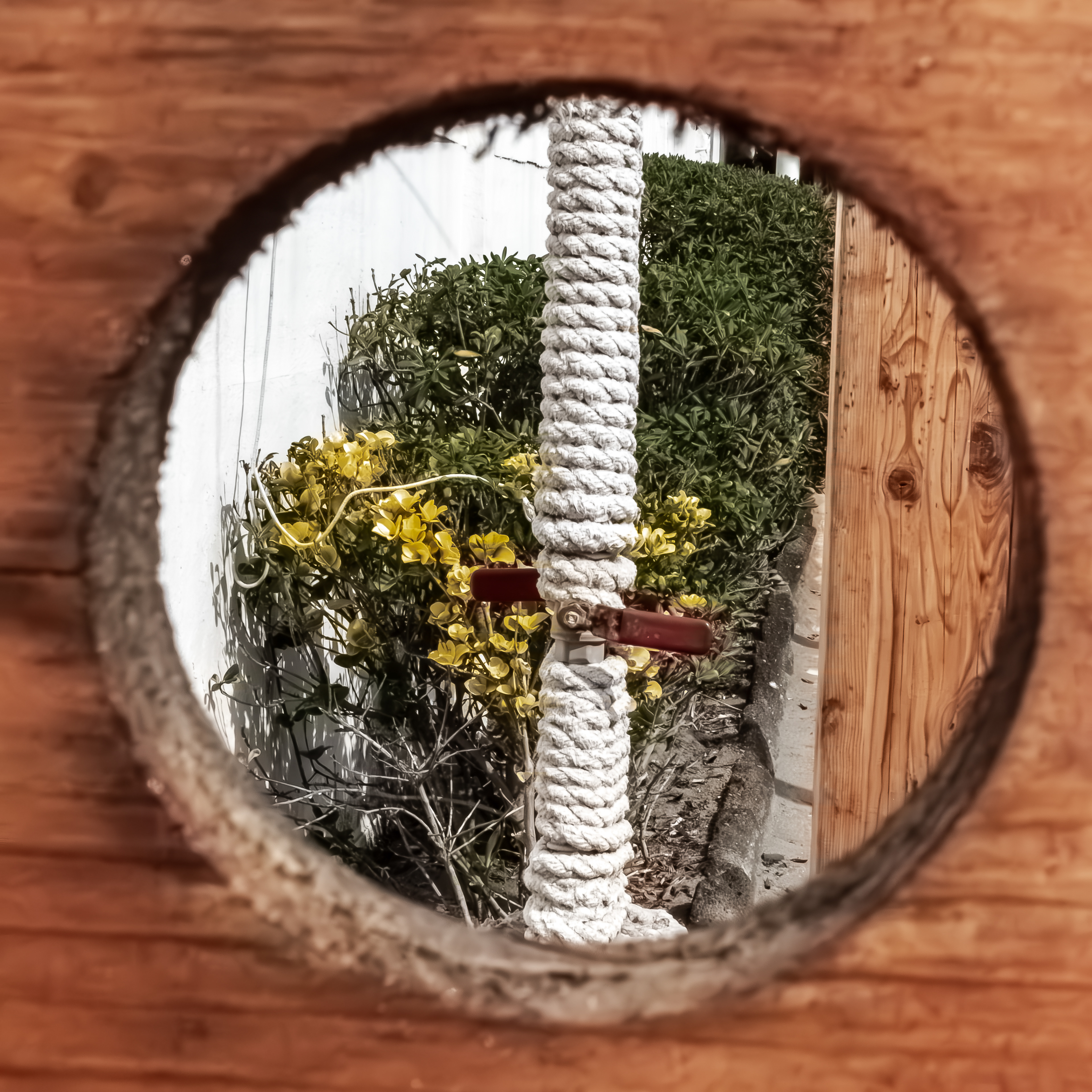 voyeurismo al mare @ barracuda, fregene