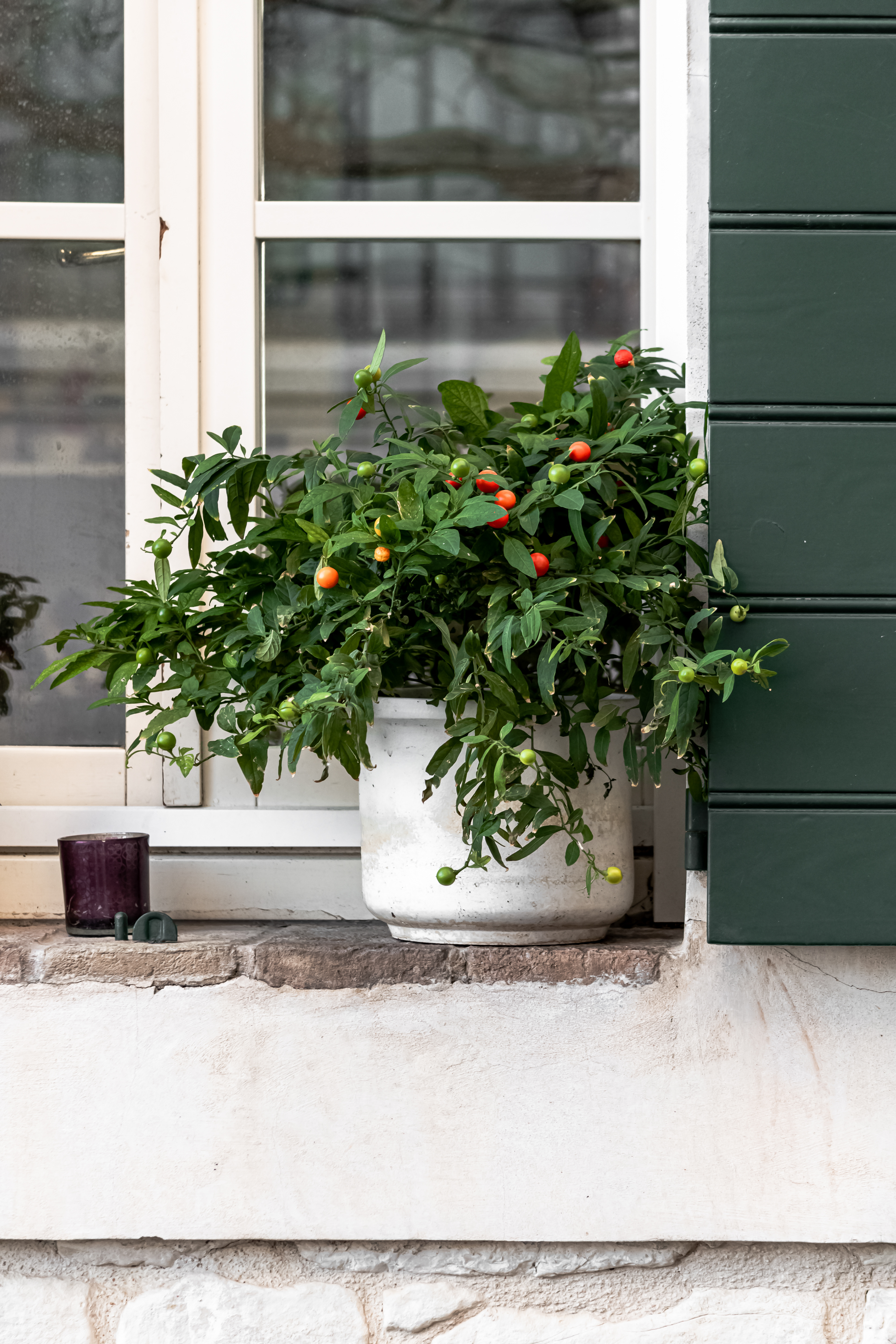 davanzali in verde @ via cialdini, sirolo