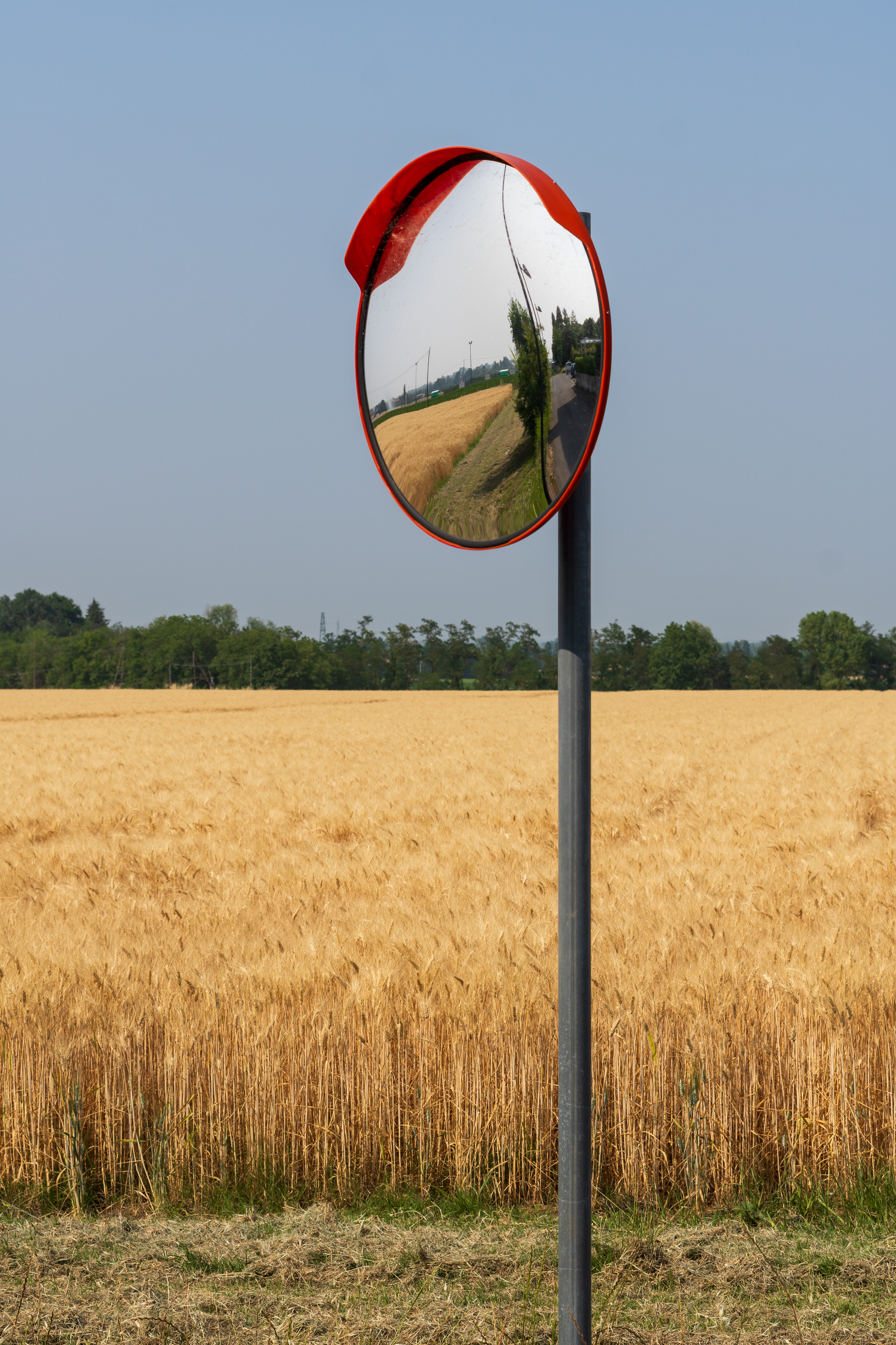specchi agricoli @ castel san pietro terme