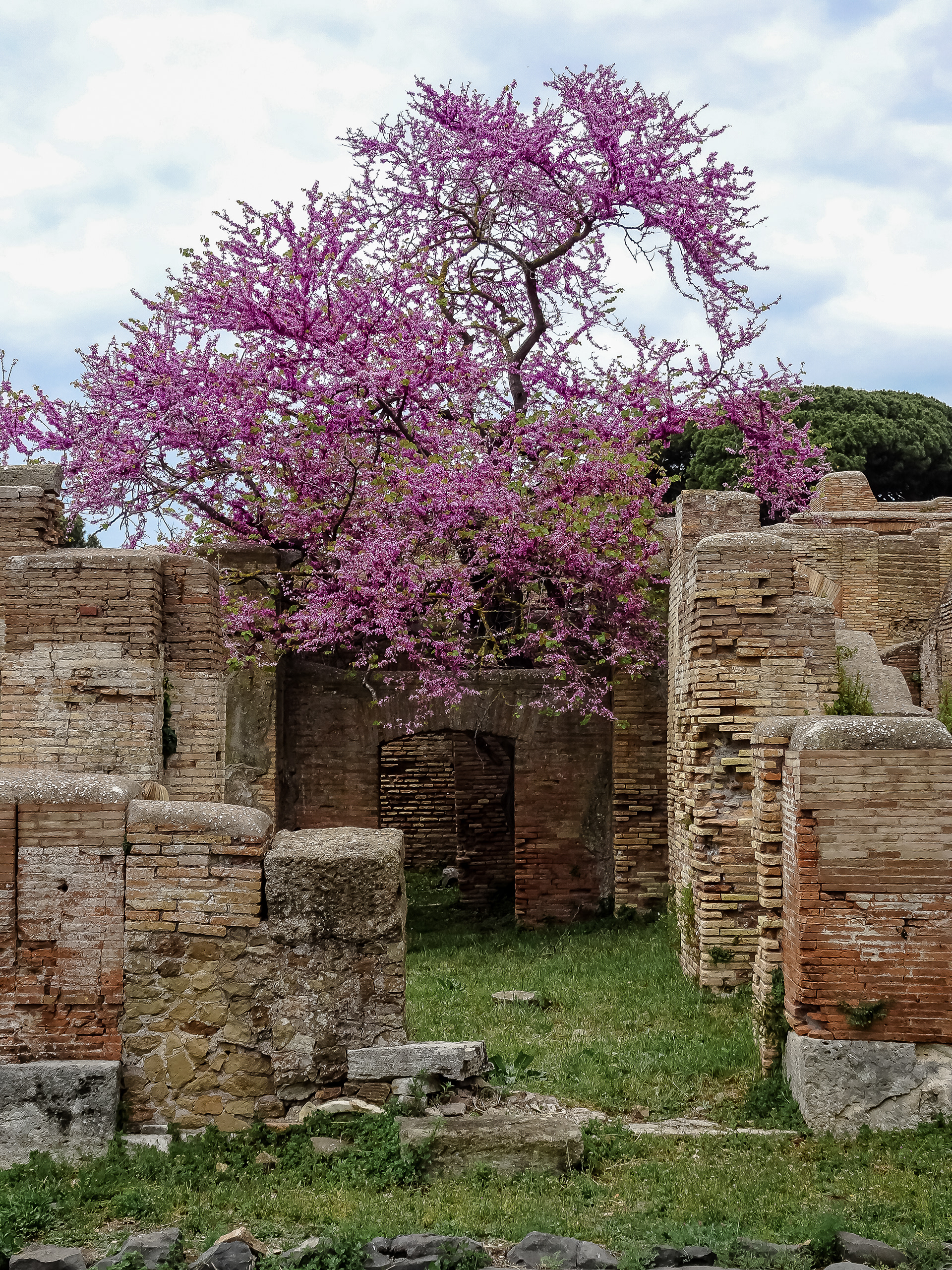 chiome @ via degli augustali, ostia antica