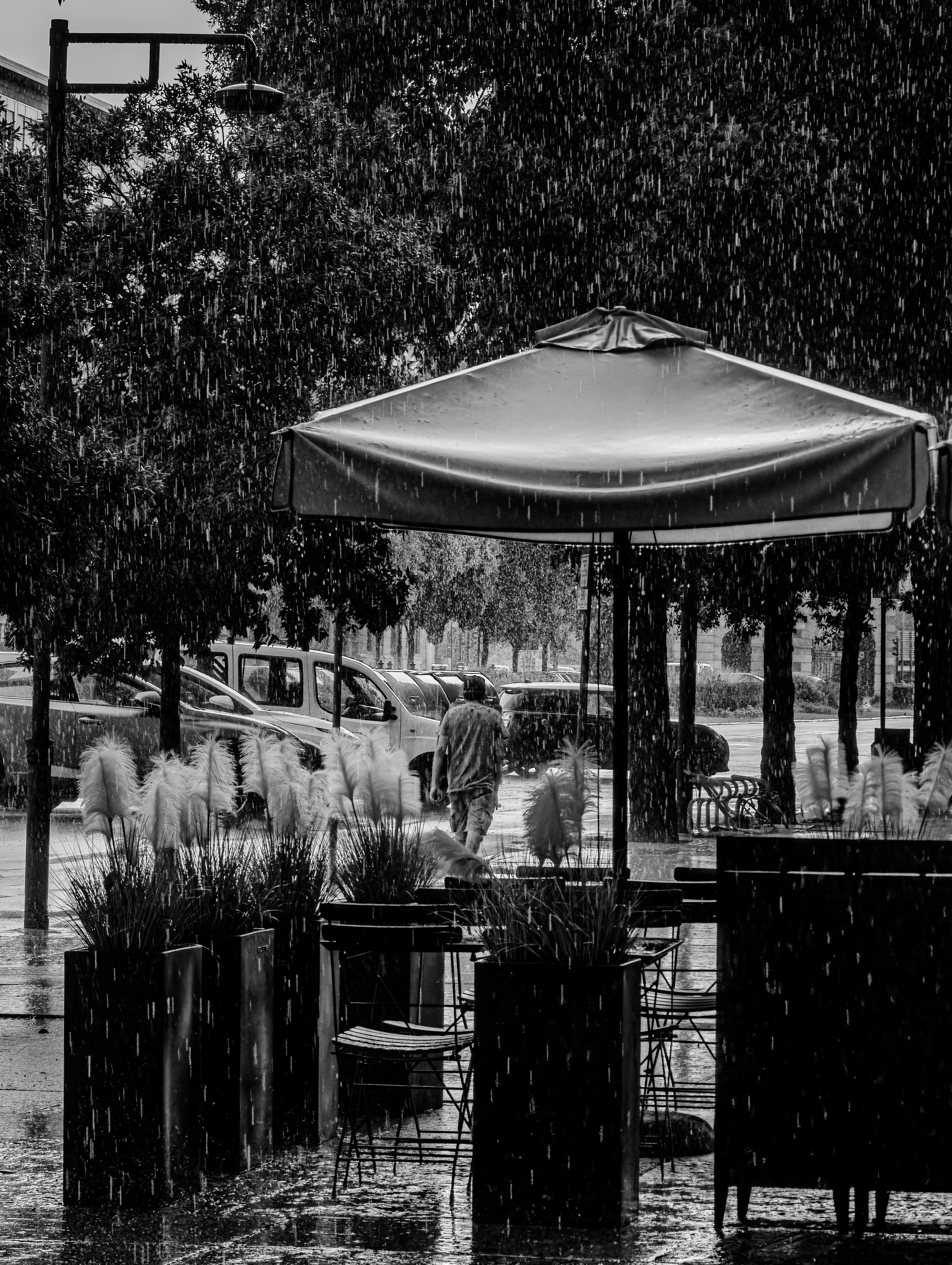 camminando sotto la pioggia @ corso porta nuova, verona