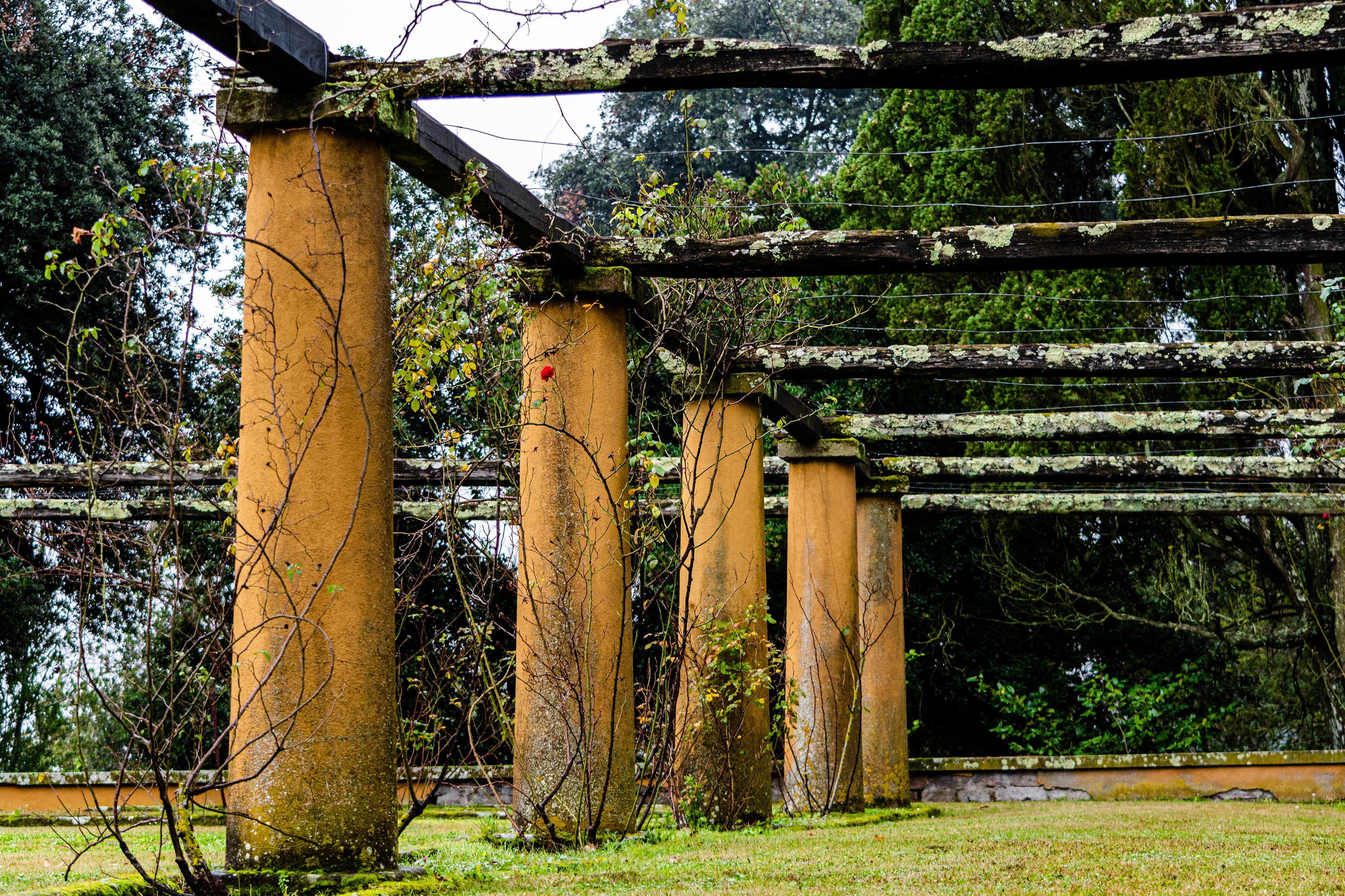 5 ocra @ palazzo farnese, capriarola