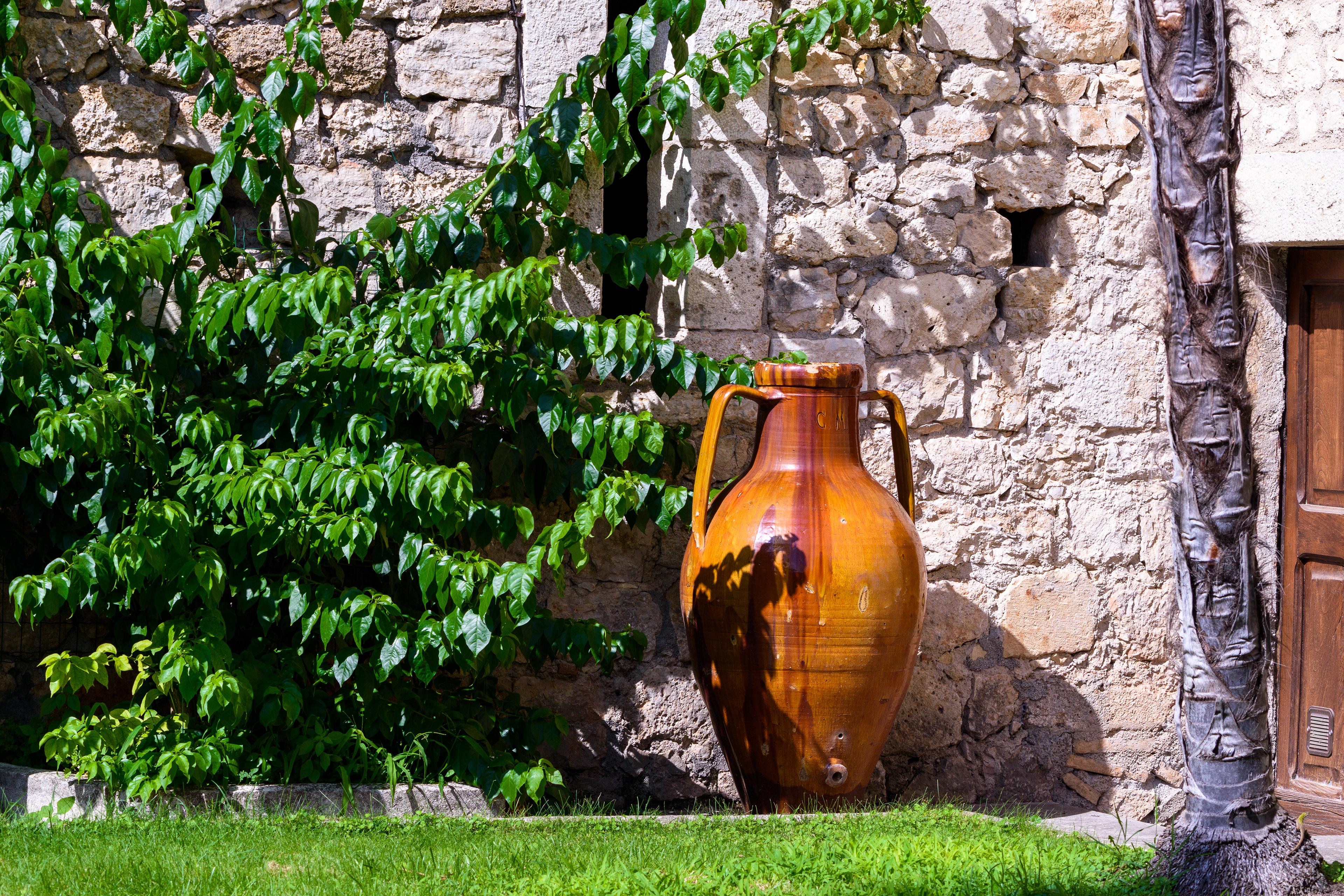 orcio @ abbazia di casamari, veroli