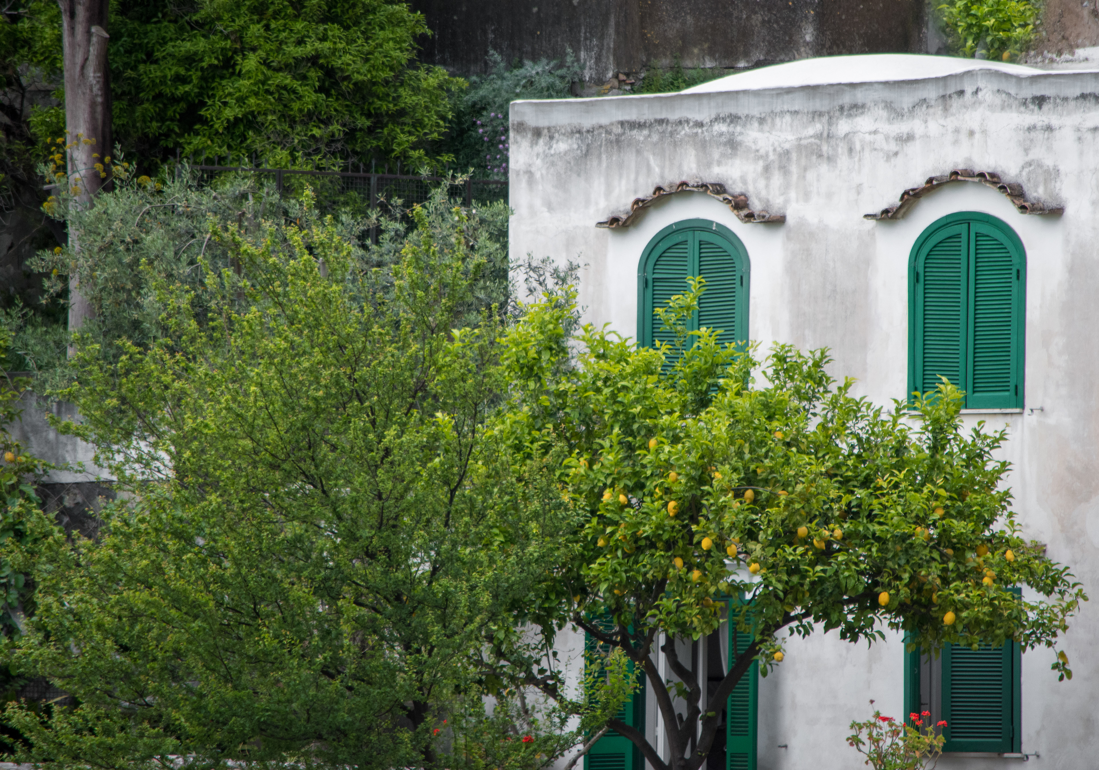 verde su verde @ via cristoforo colombo, positano