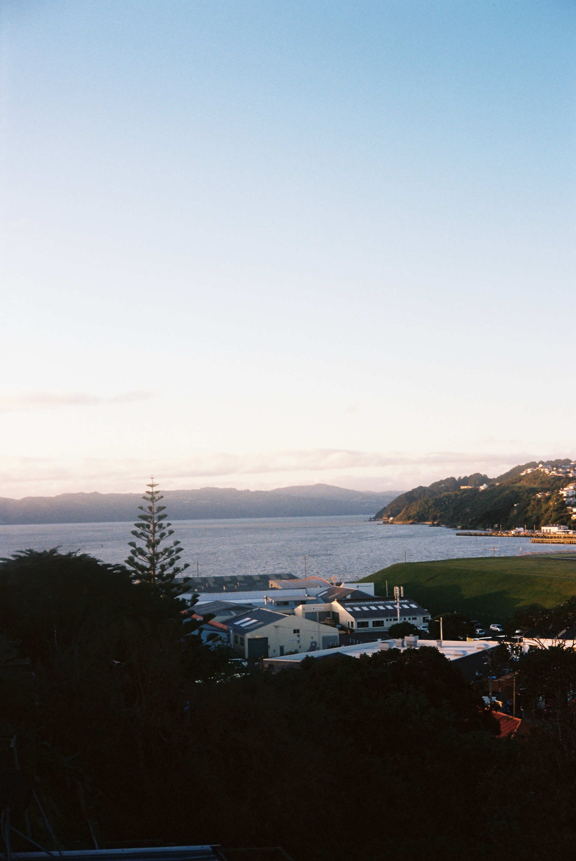 View from Dad's