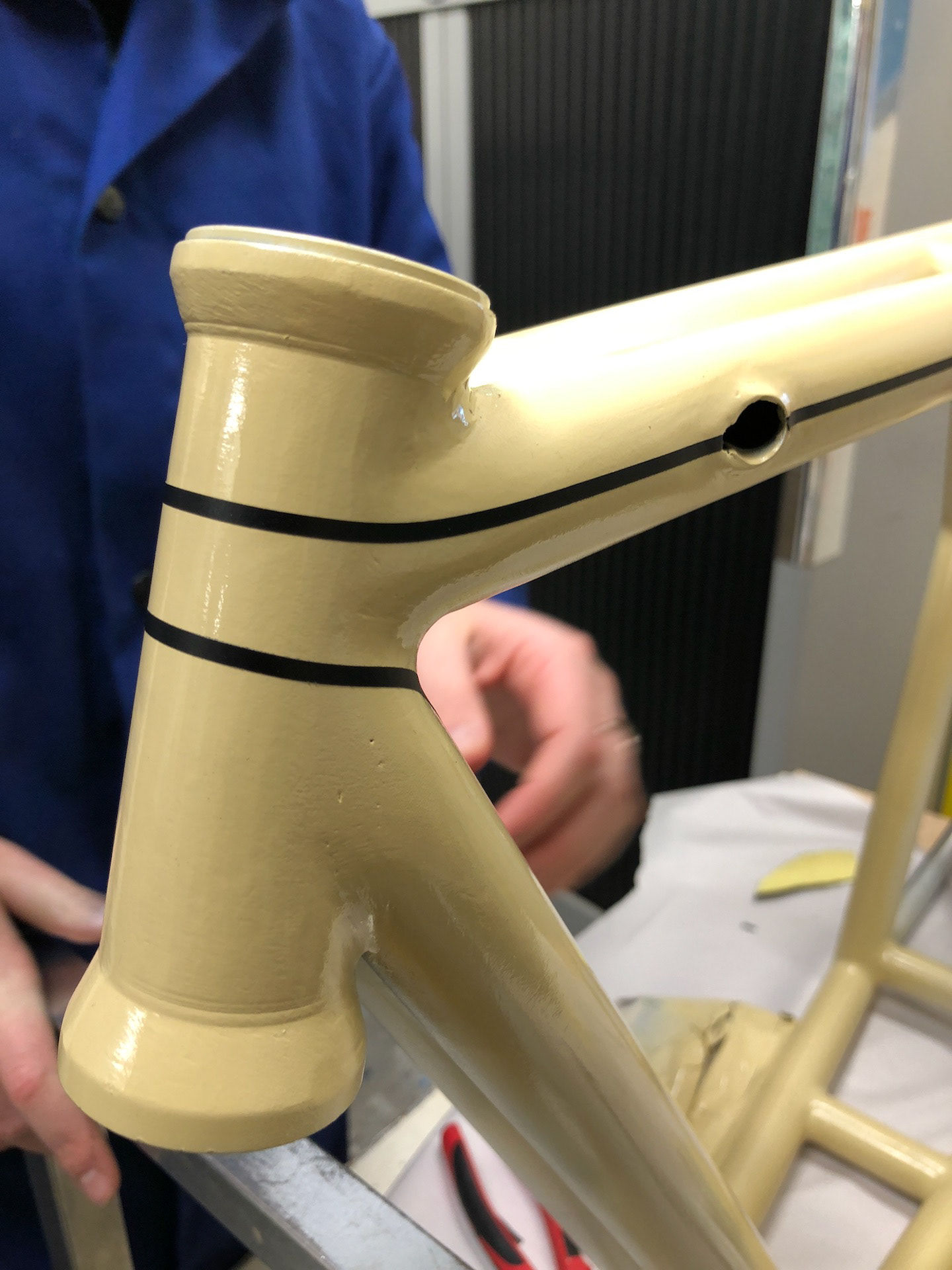 Beige undercoat for the stripe.