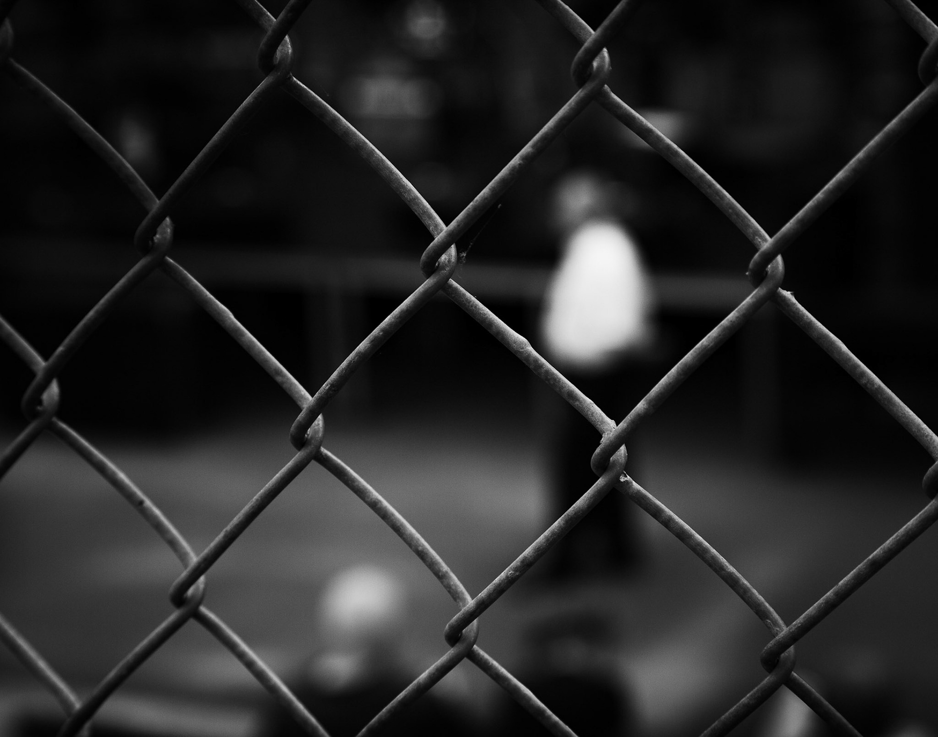 Through the Fence