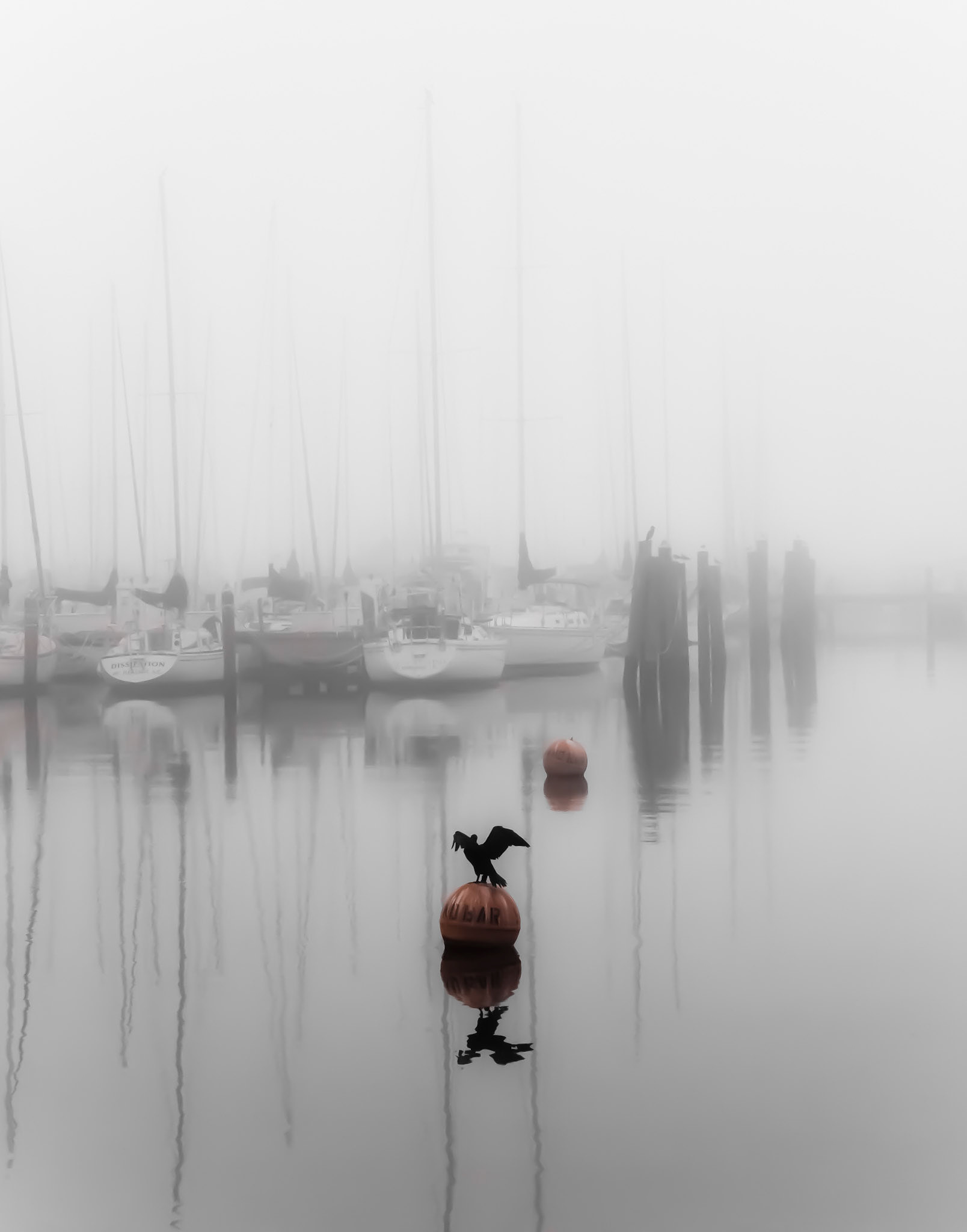 Misty Marina