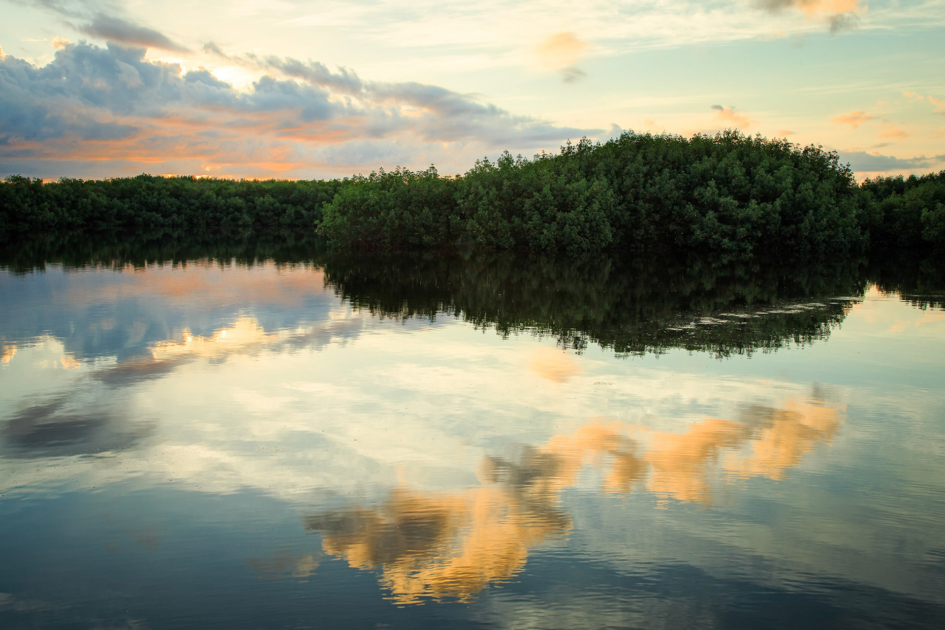 Sunrise Reflection - Weedon Island, St. Petersburg, FL