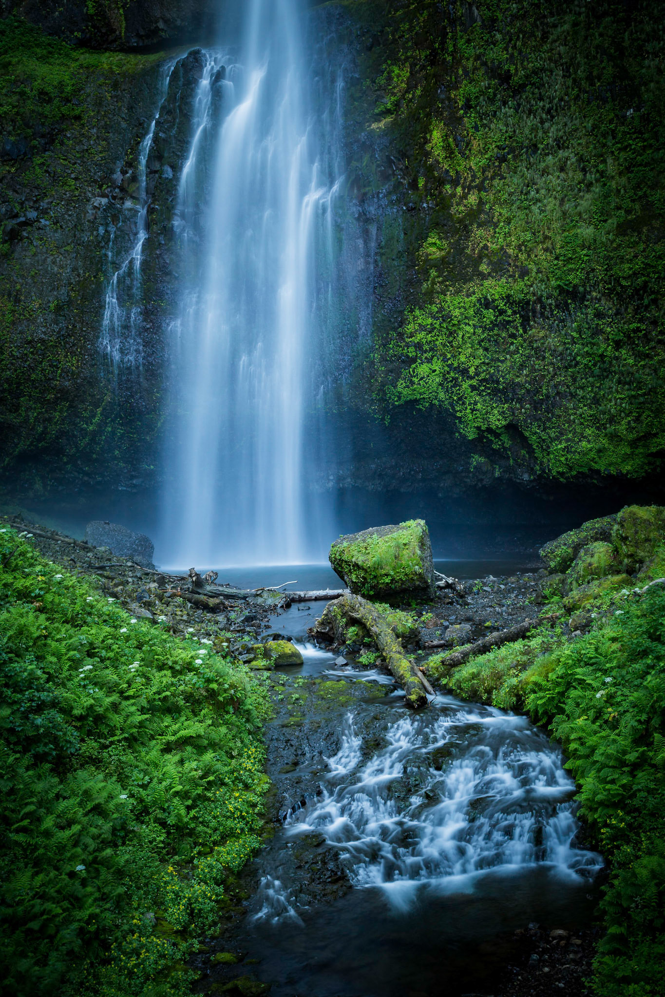 At the Base of Multnohmah Falls #3 - Columbia River Gorge, OR