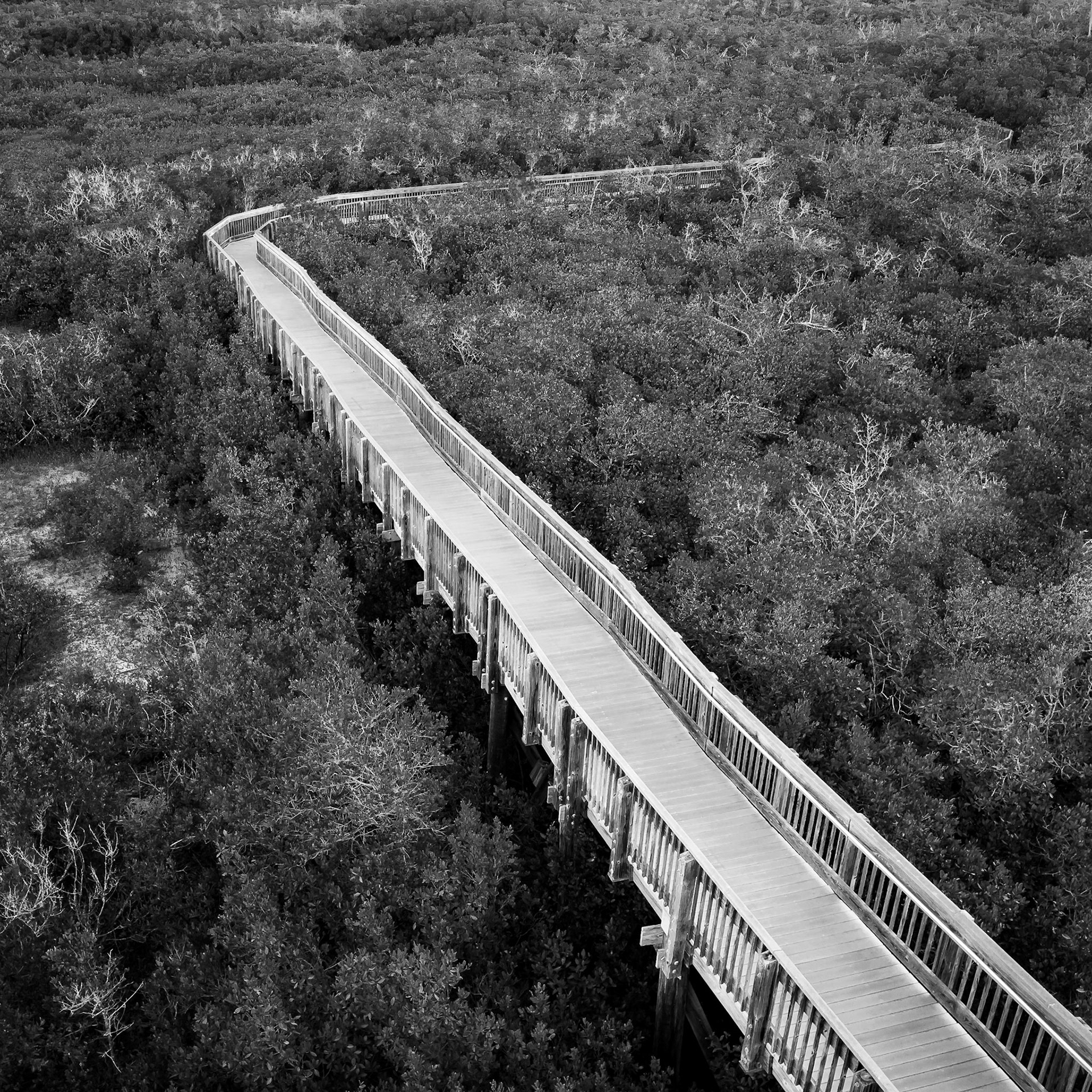 Boardwalk at Weedon Island