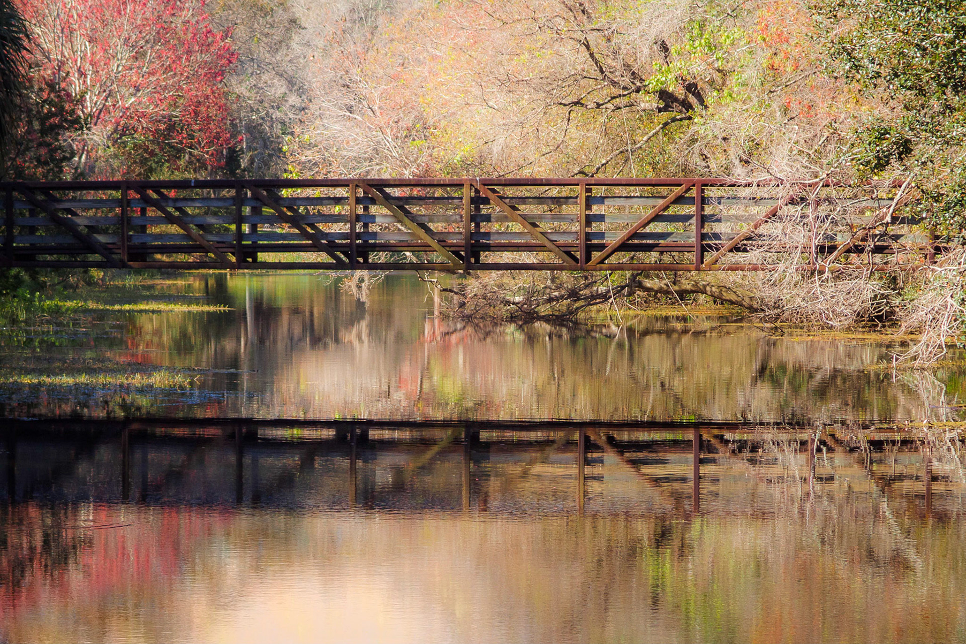 Footbridge at Sawgrass Lake Park, St. Petersburg, FL