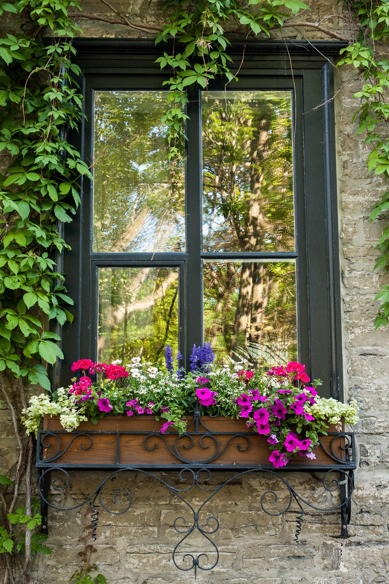 Picture in the Panes