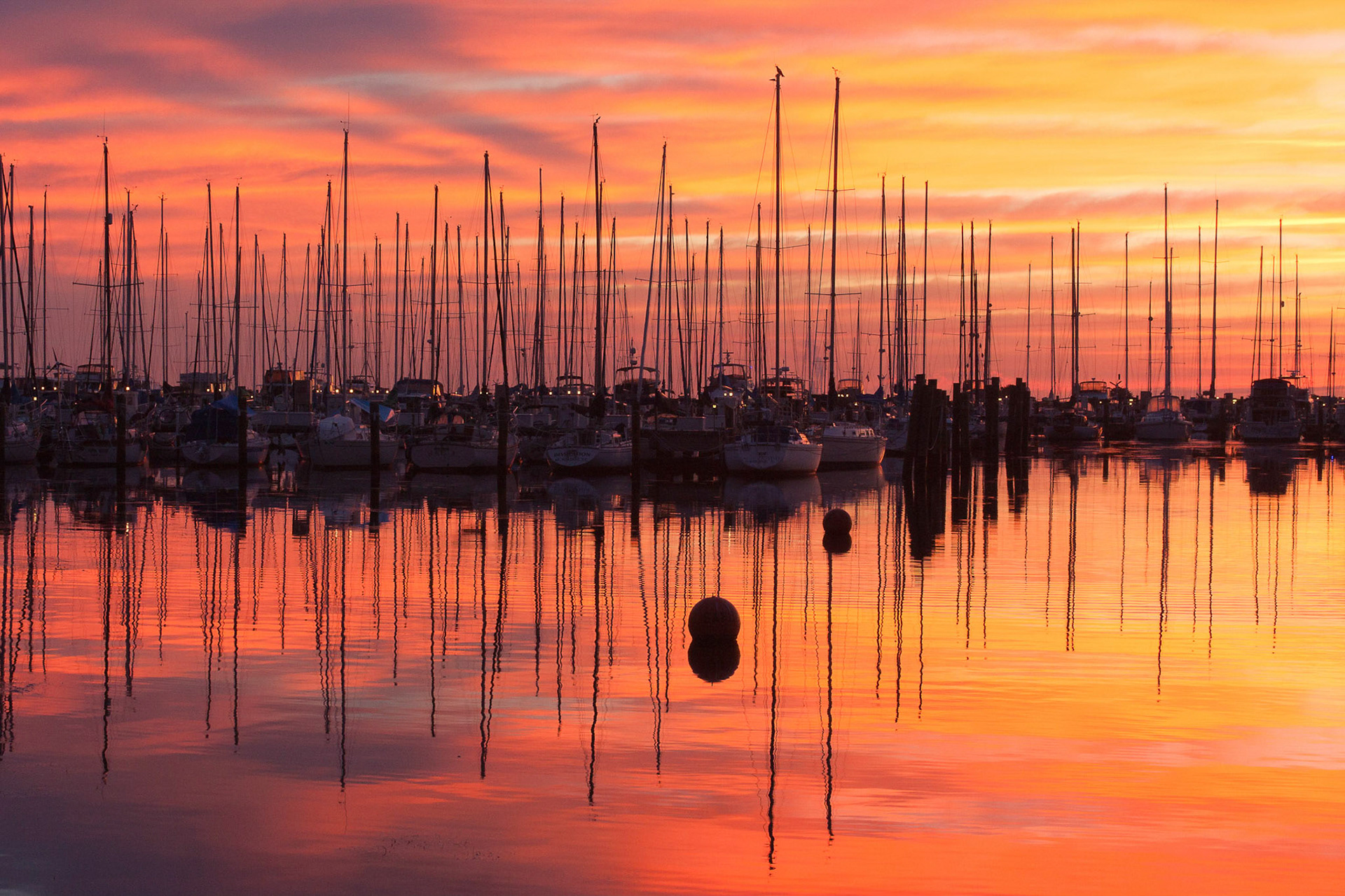 Sailboats at Sunrise - St Petersburg, FL