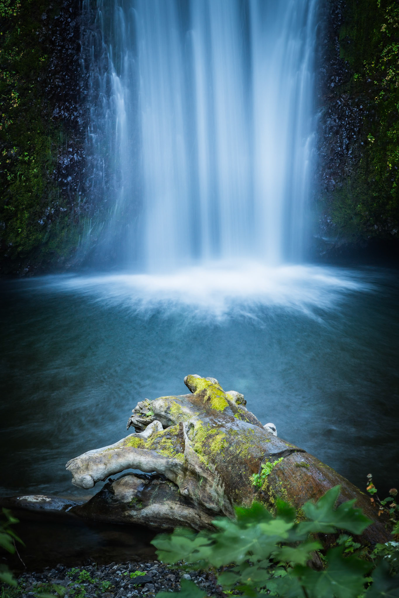At the Base of Multnomah Falls