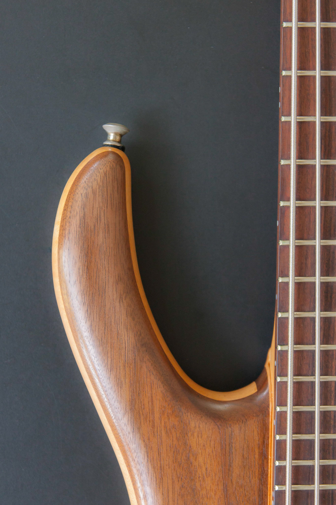 Bass Guitar