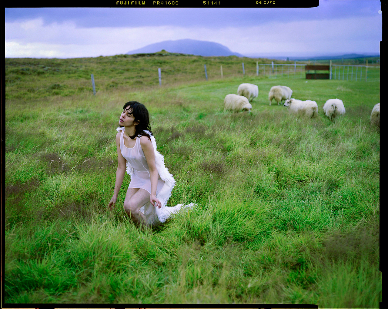 'Outcast'. 4x5 film. Vik, Iceland. ©MaritzaMolina