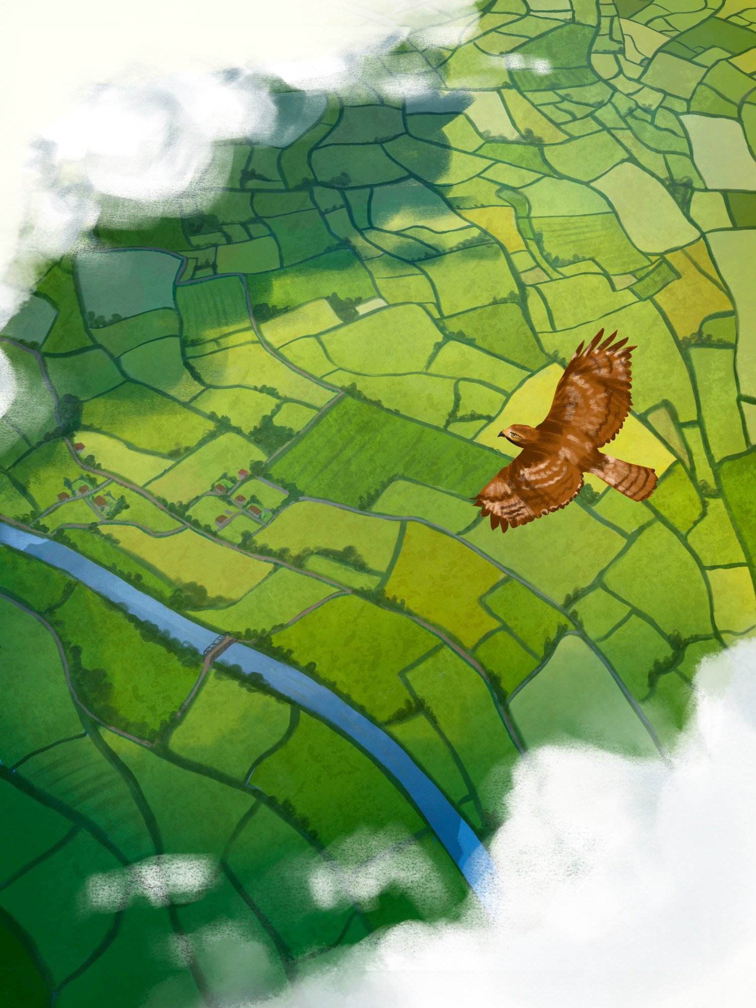 View from the Sky