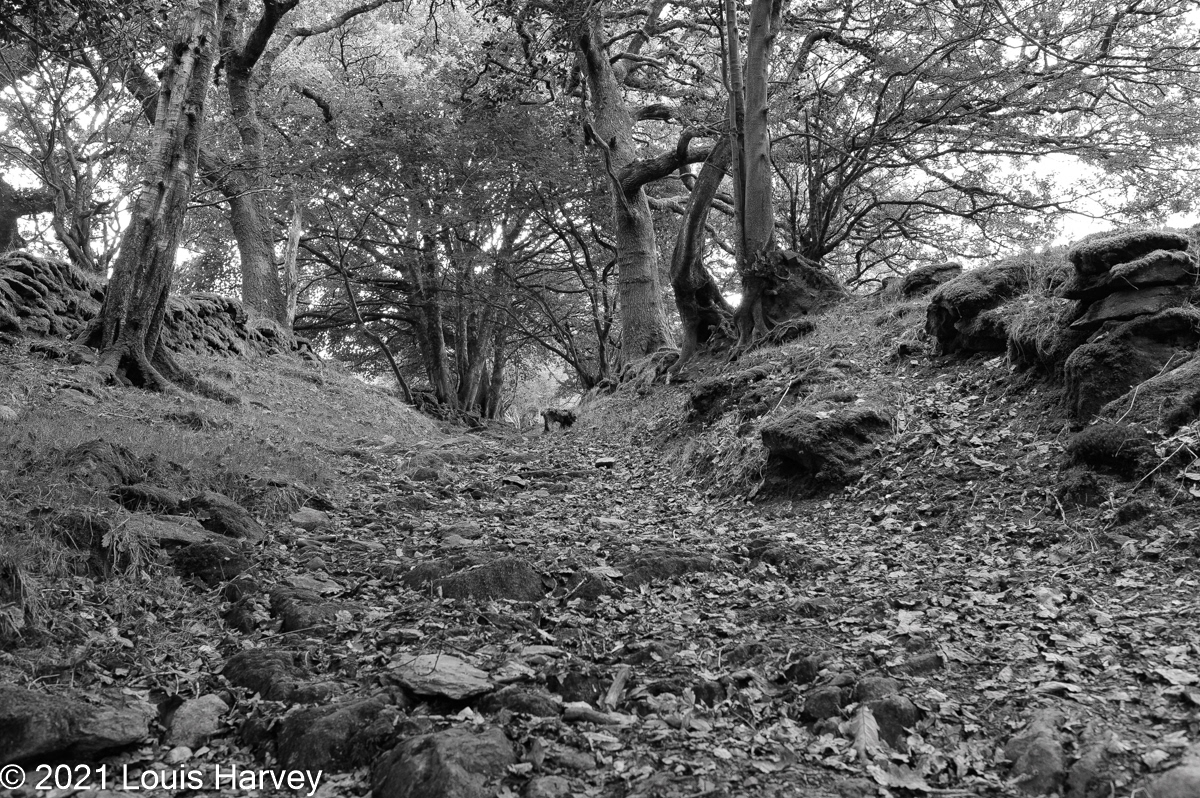 1/25 at f/7.1 ISO 400 28mm (f/1.8)