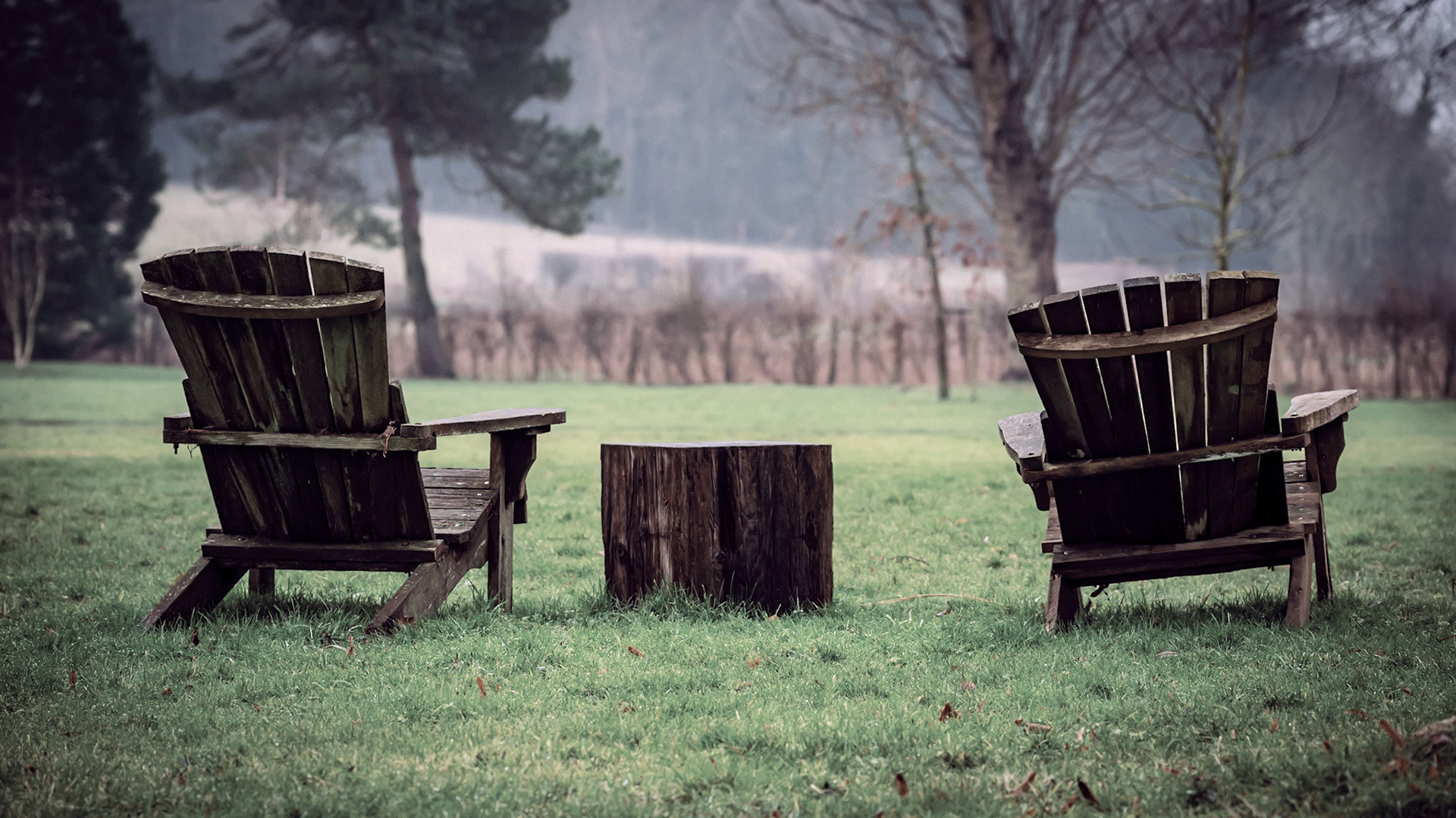 Empty chairs in morning mist and dew.