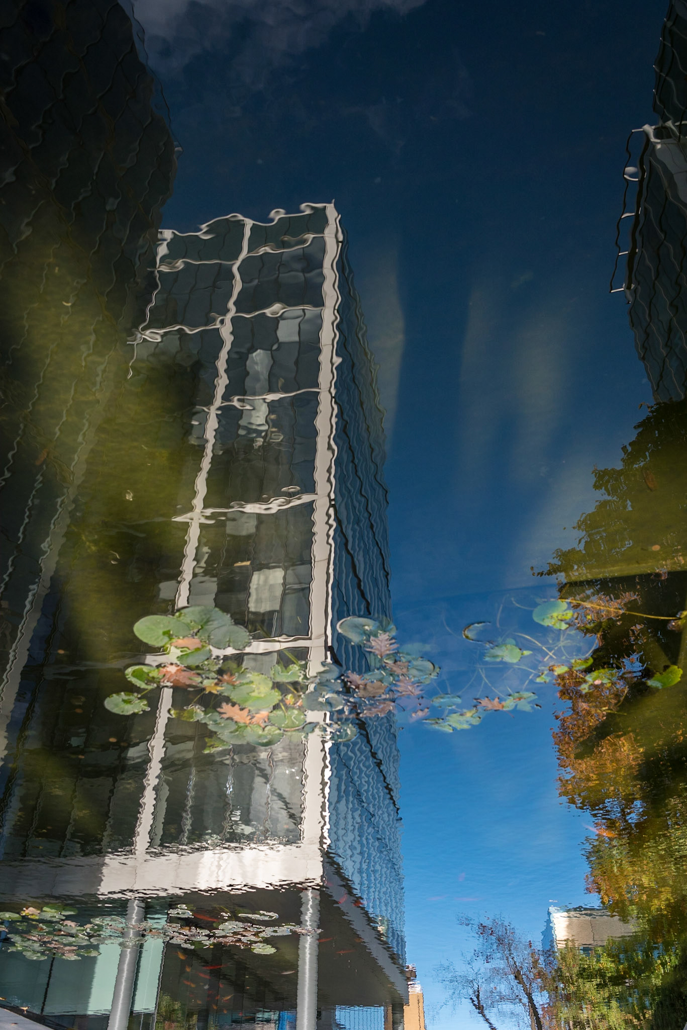 Shoreditch &amp; Spitalfields Photowalk