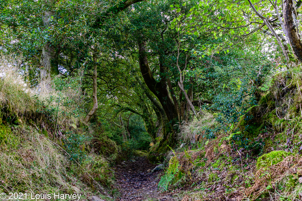 1/8 at f/8 ISO 100 28mm (f/1.8)