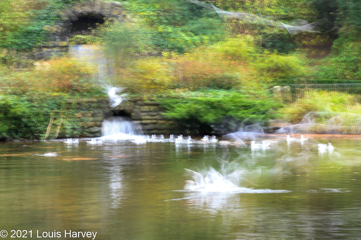 1.0 sec f/22 ISO 400 92mm (VR 24-120mm f/4G)