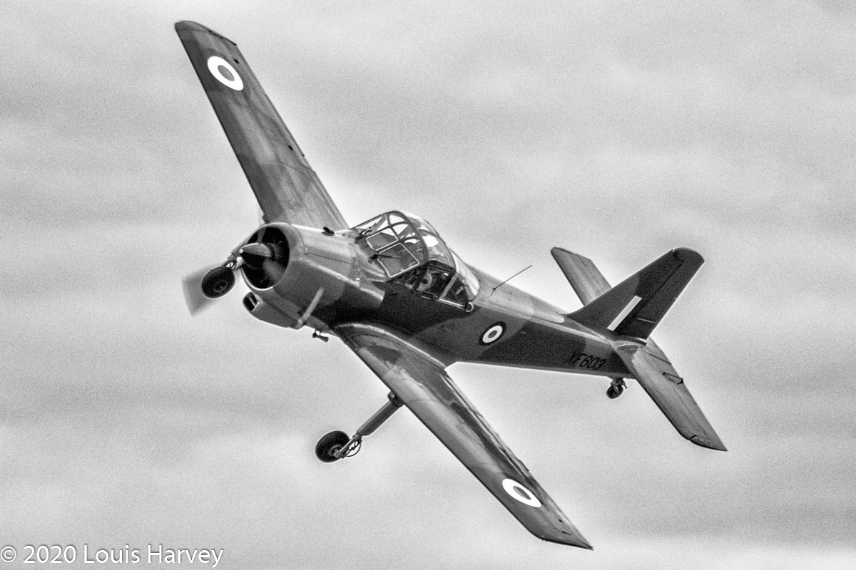1950 Hunting (Percival) Piston Provost T.1