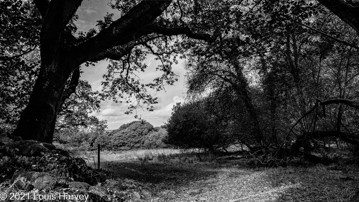 1/400 at f/7.1 ISO 100 28mm (f/1.8)
