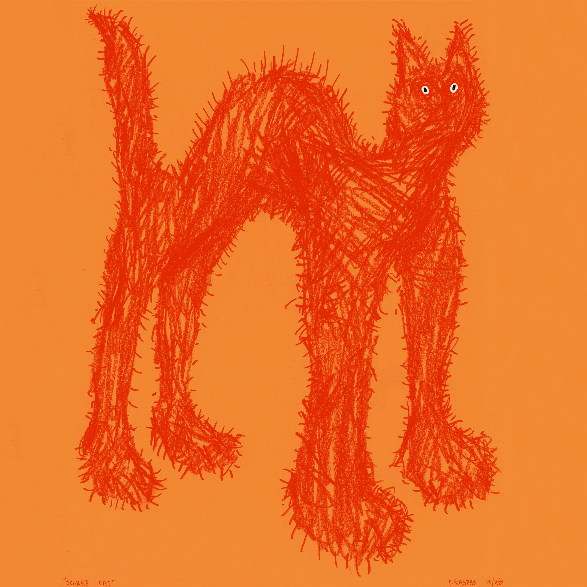 'Scaredy Cat'