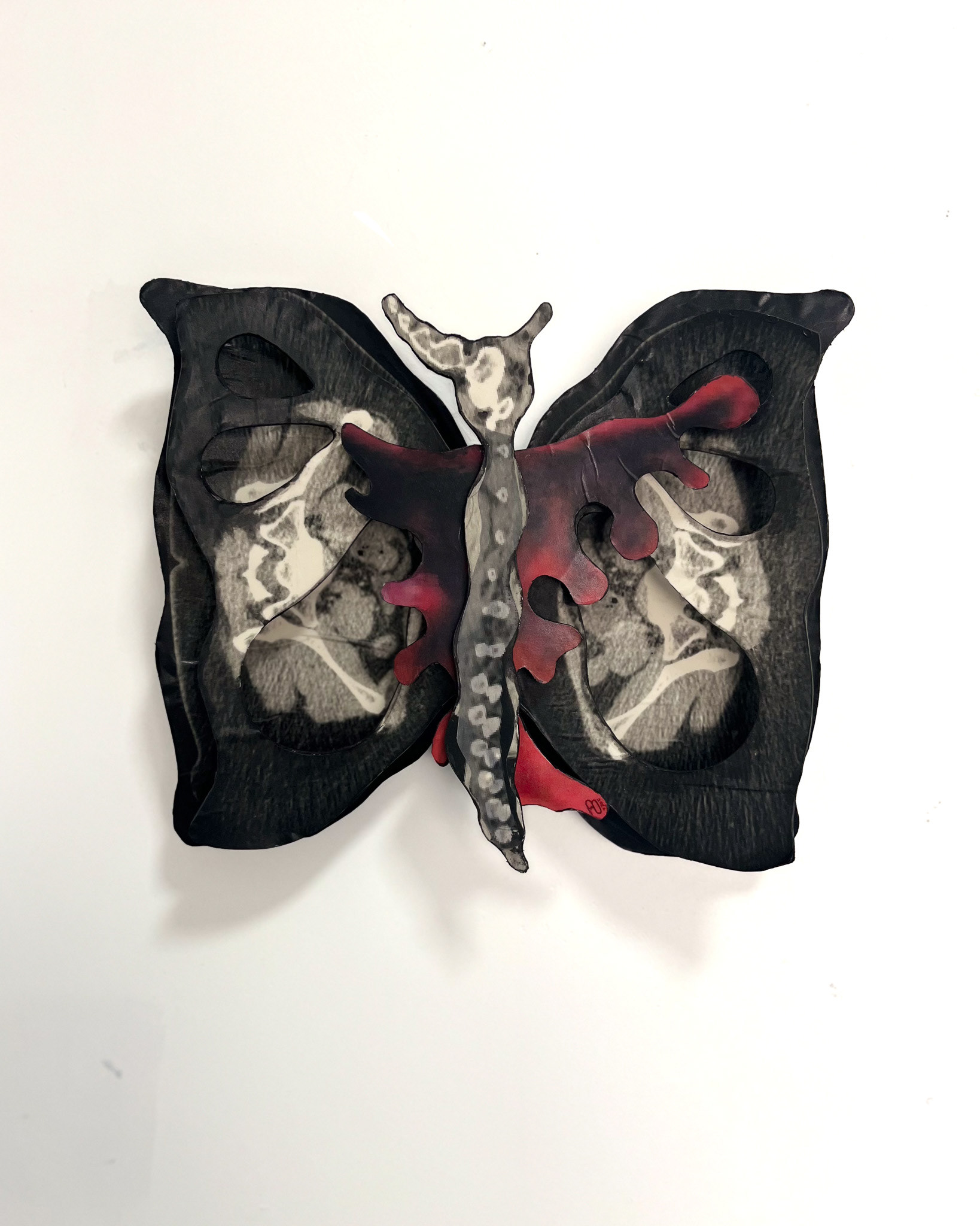 Metamorfosis después del fuego, Ensamble (Albanene sobre papel ilustración y madera), 2026.