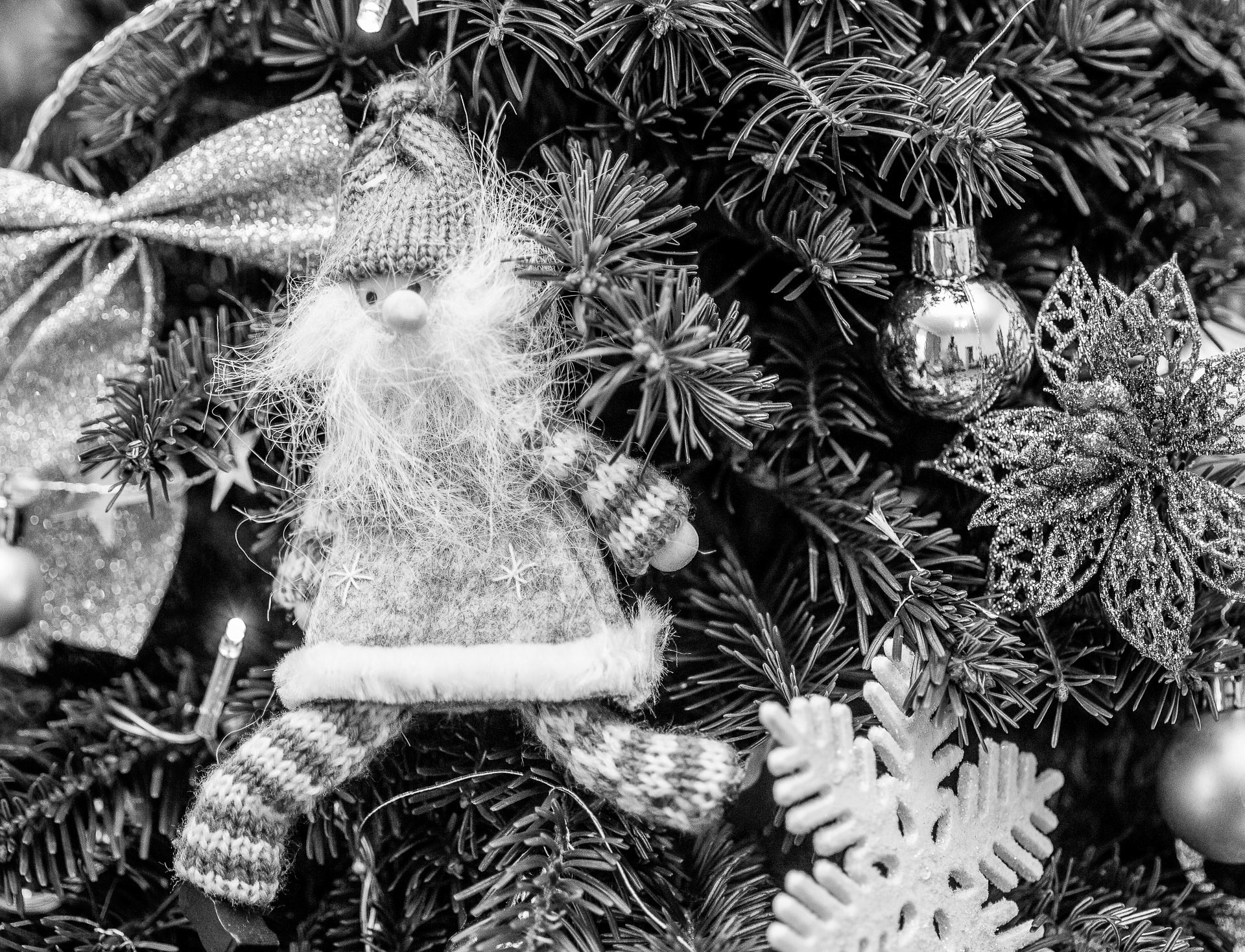 Zdjęcie nr 15 – 23.12.2018