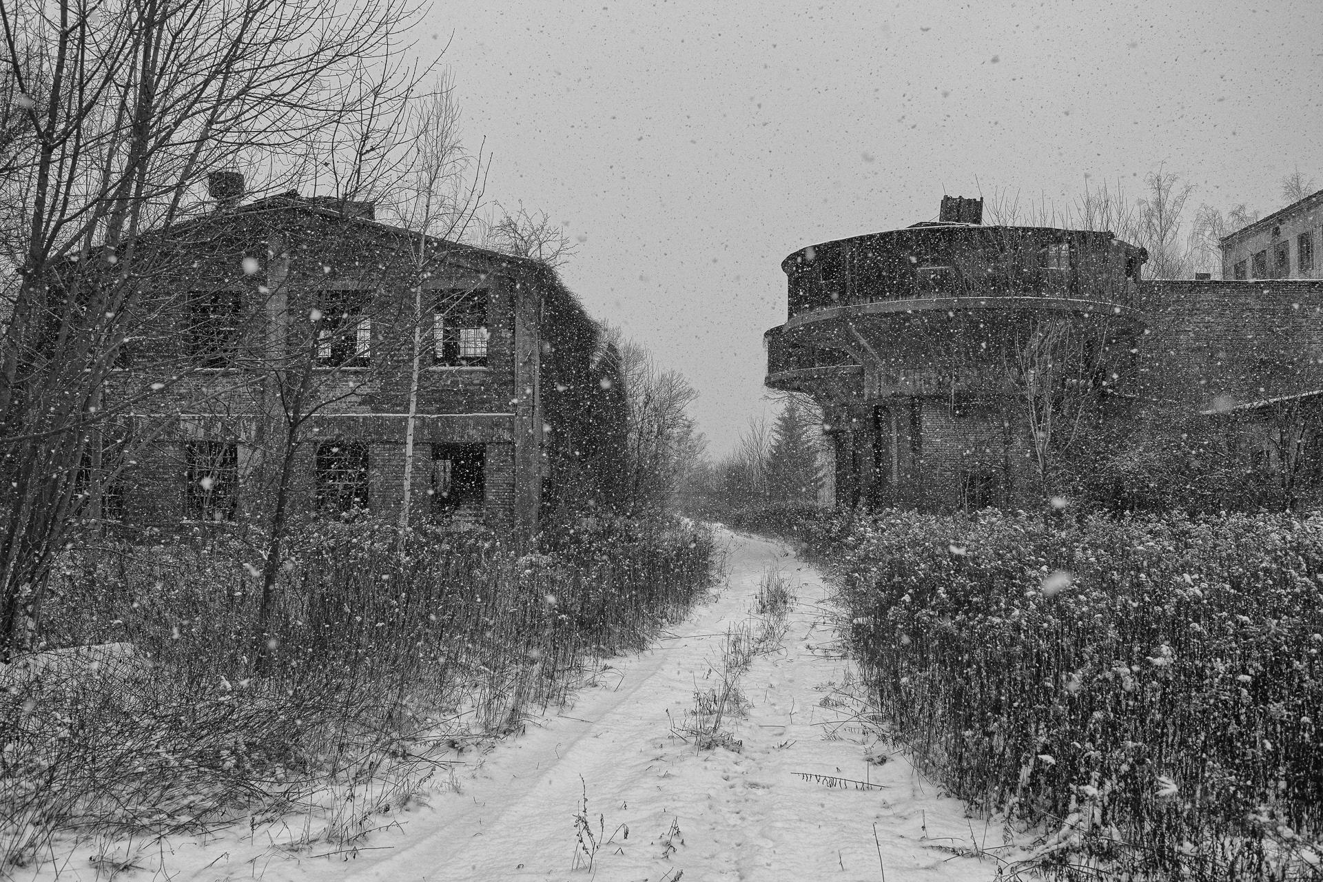 Zdjęcie nr 27 – 06.01.2019