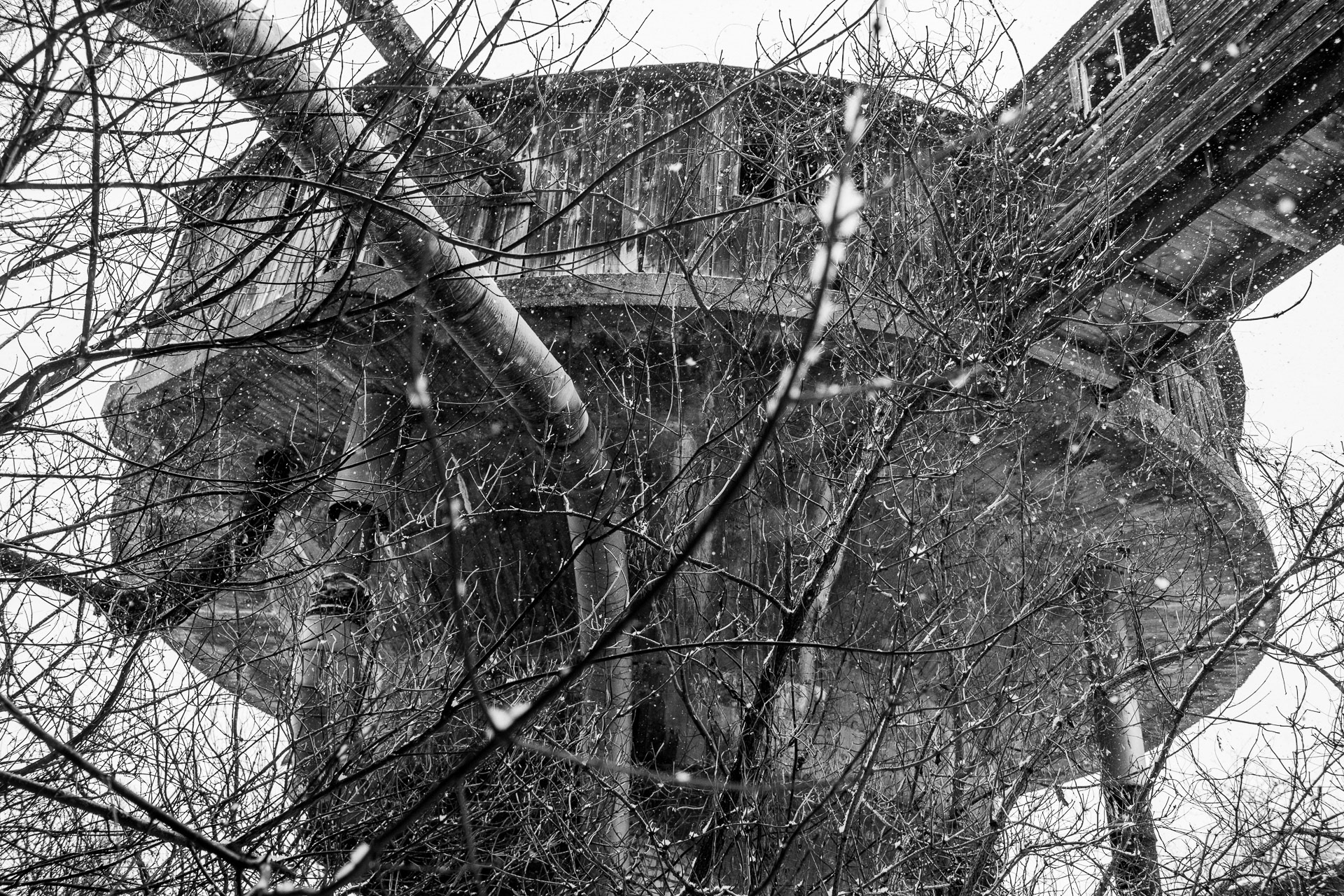 Zdjęcie nr 29 – 06.01.2019