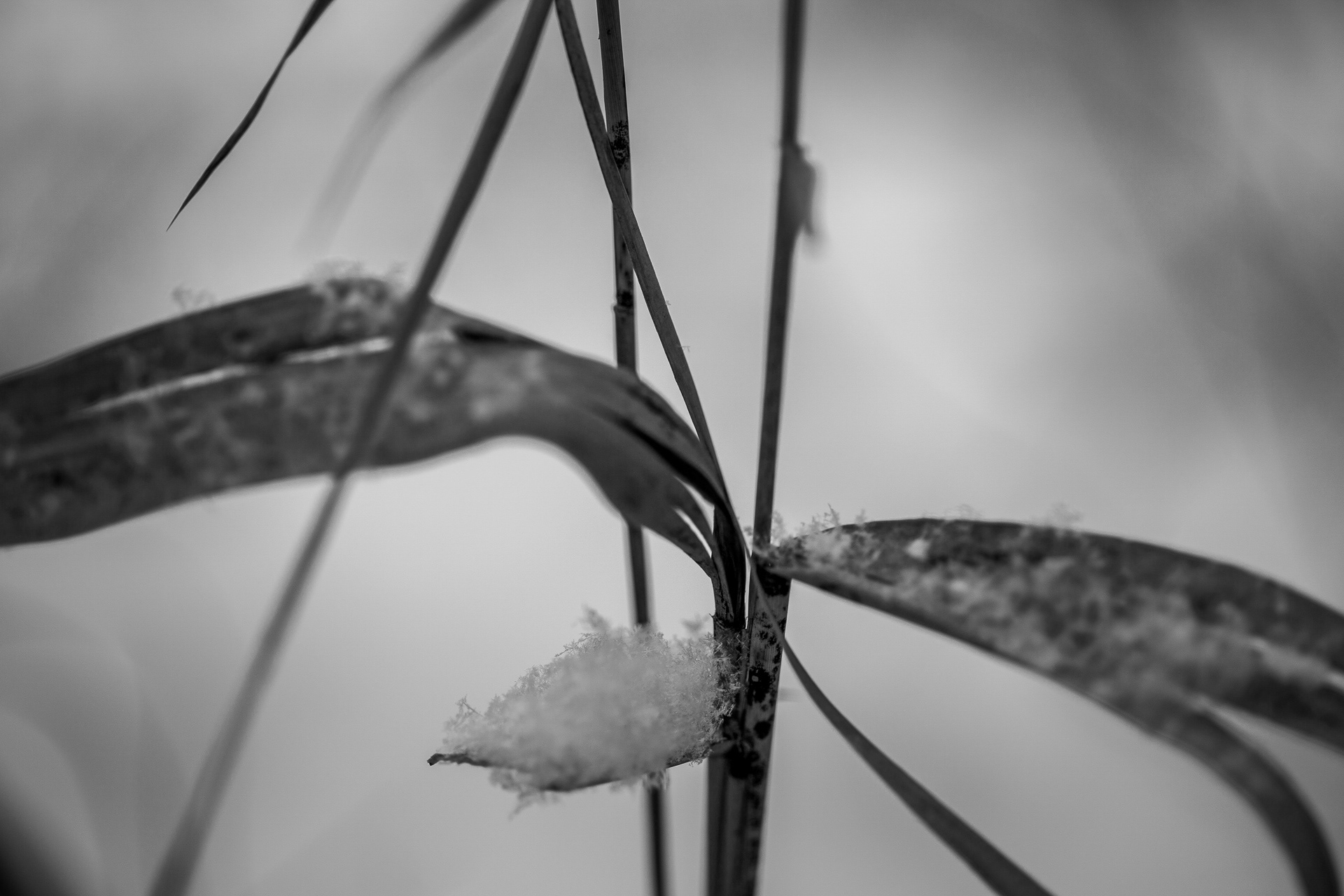Zdjęcie nr 25 – 06.01.2019