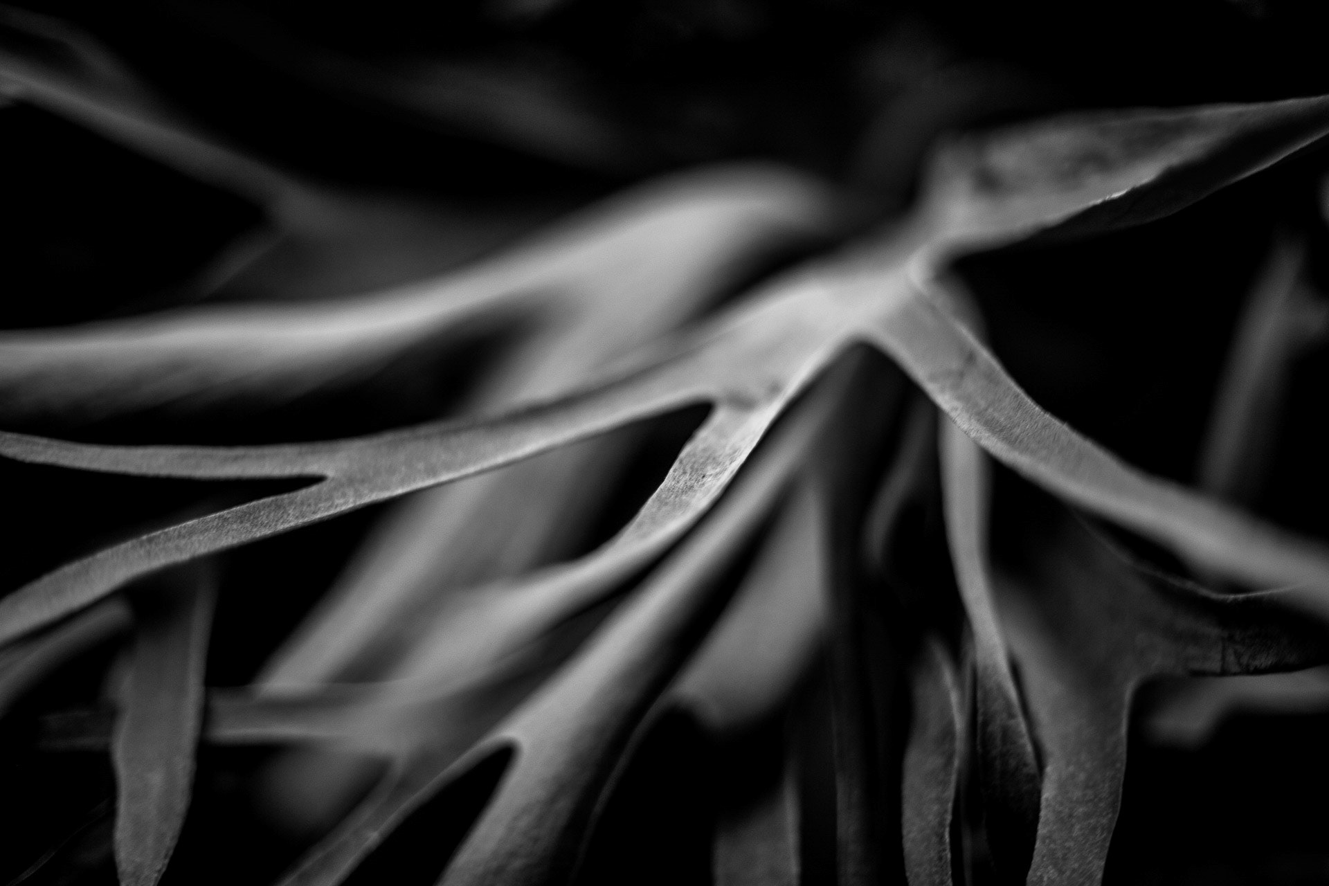 Zdjęcie nr 4 – 09.12.2018