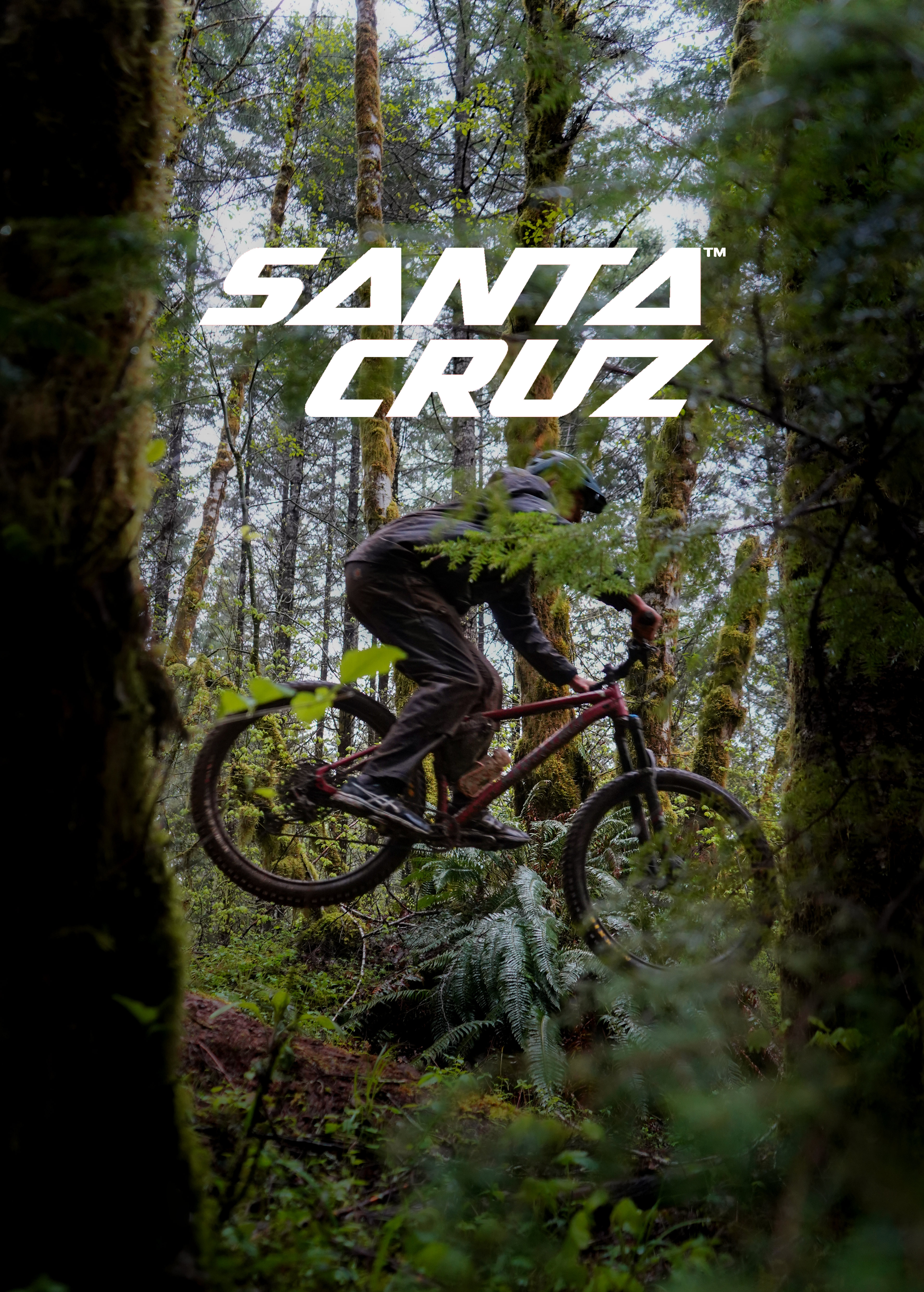 Excited about the smallest lip on the trail, I found a nice perch between two trees to capture what felt like a 10 ft jump (but realistically a 1 footer).