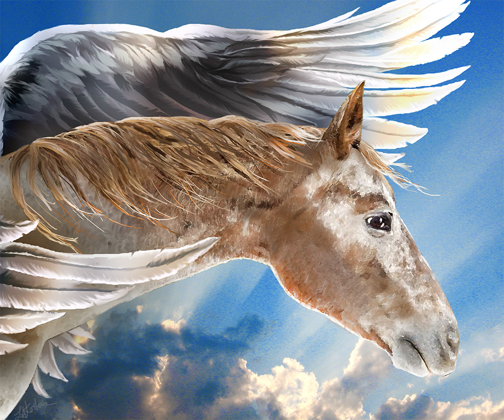 Edited photo with digital painting