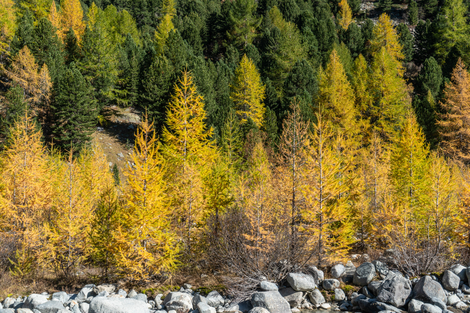 Engadin