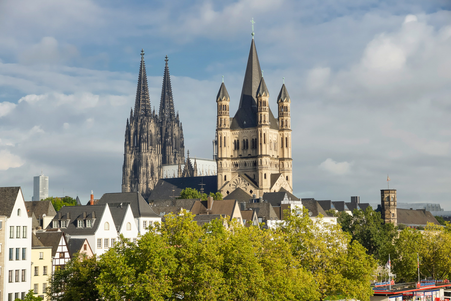 Dom und Grosser St. Martin