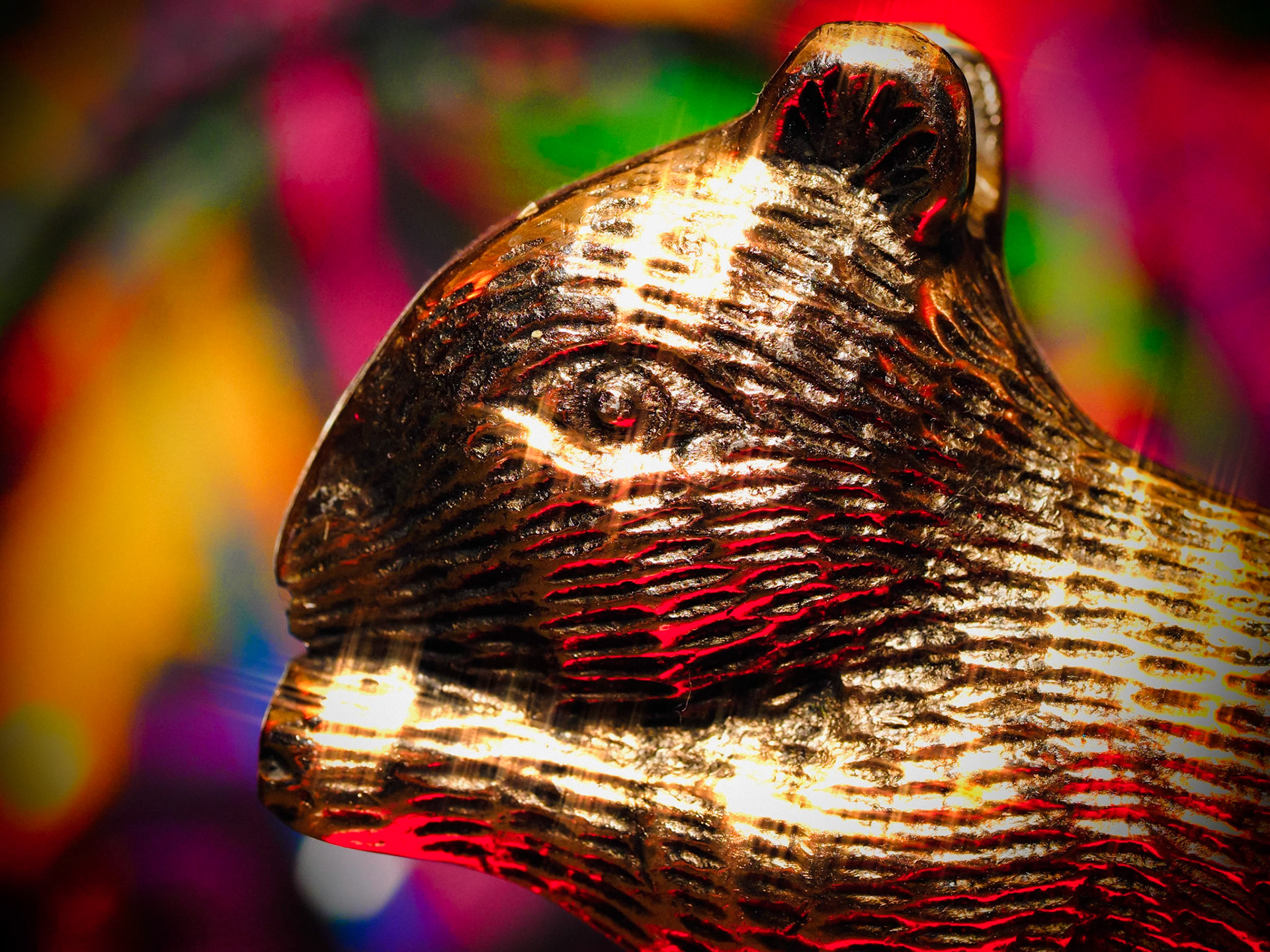 The squirrel of enlightenment