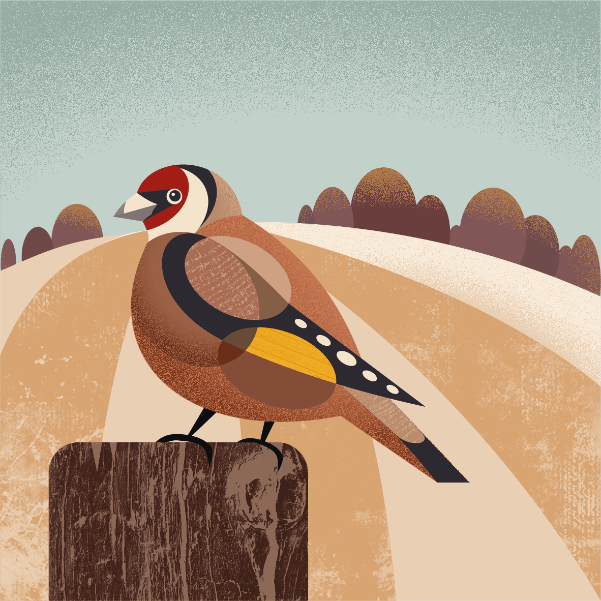 Goldfinch
