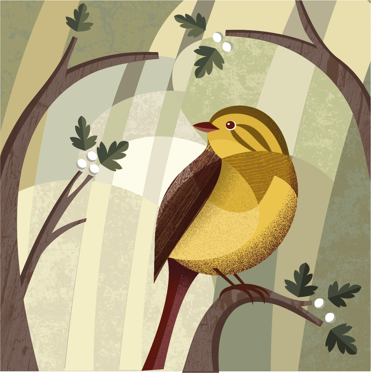 Yellowhammer