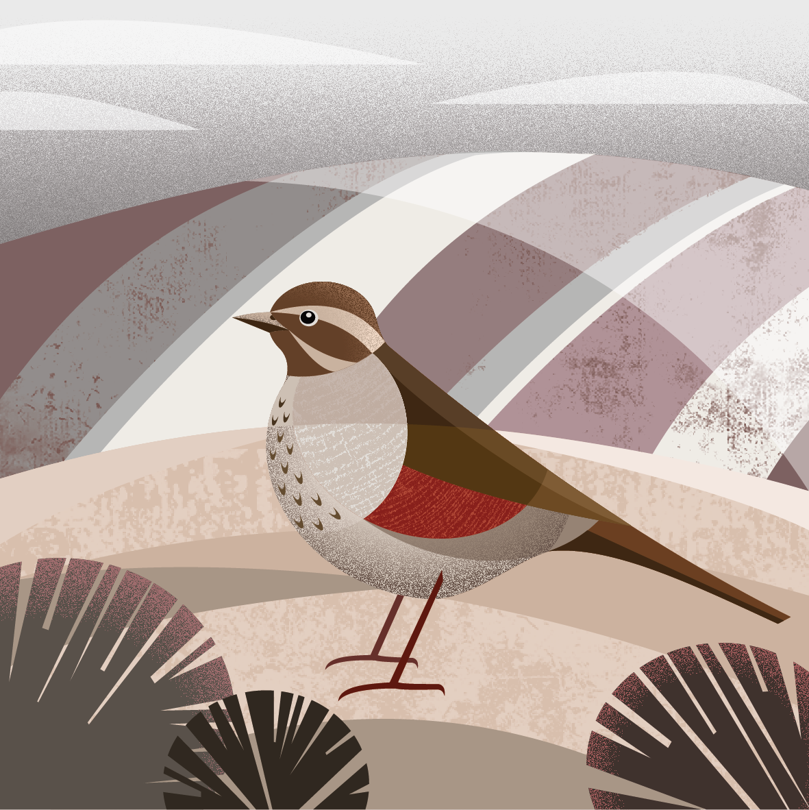 Redwing