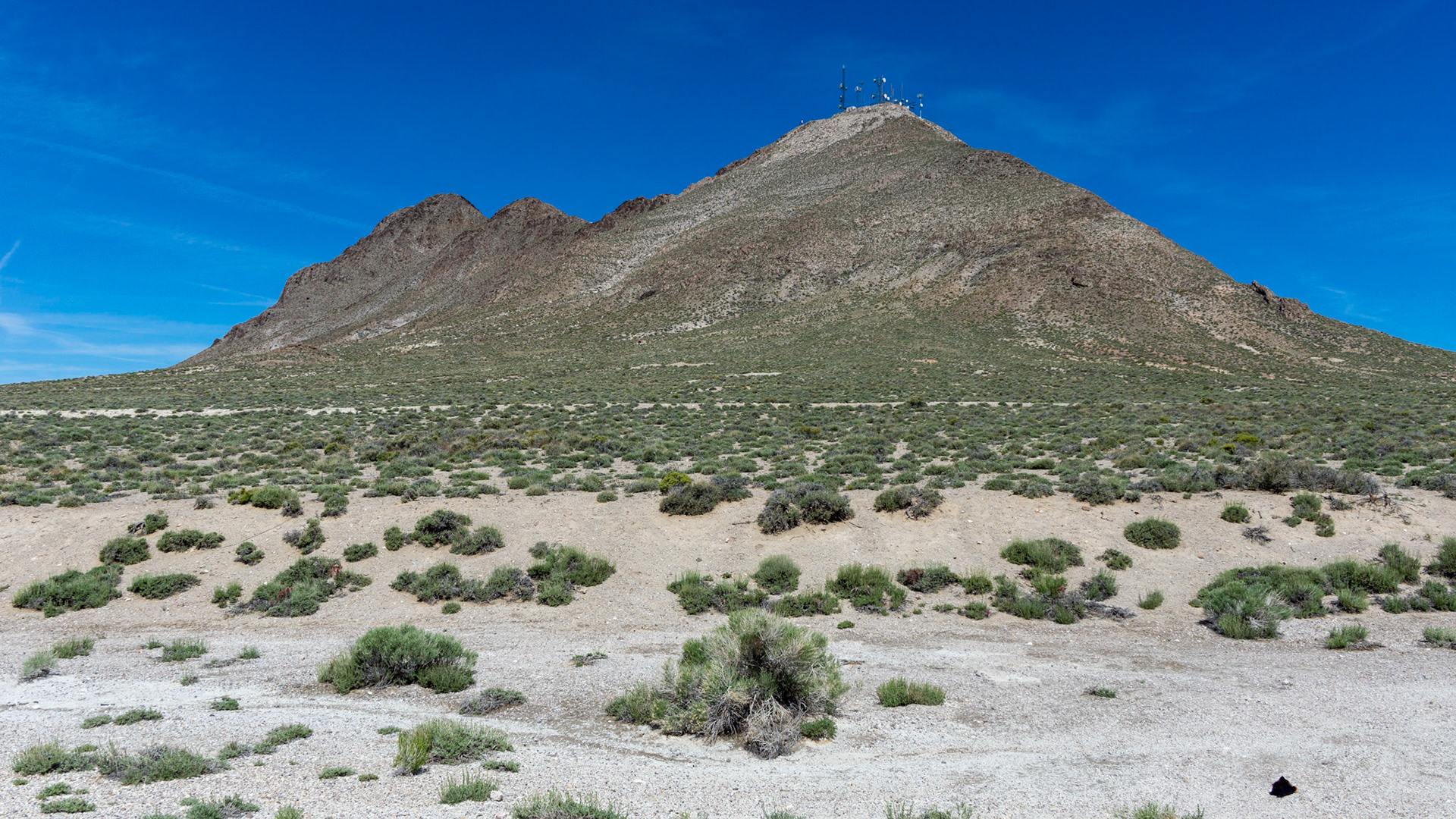 BLM Tonopah Dispersed