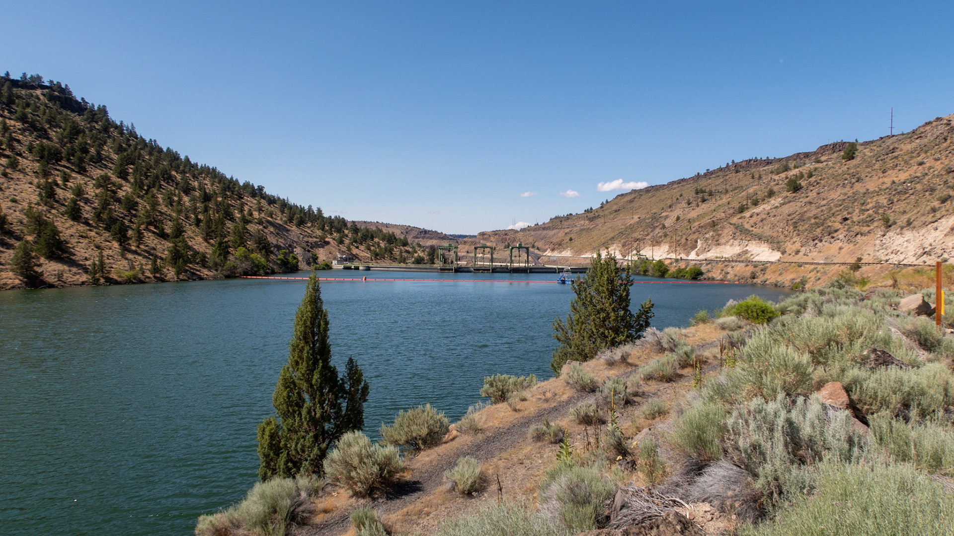 Campbell Creek