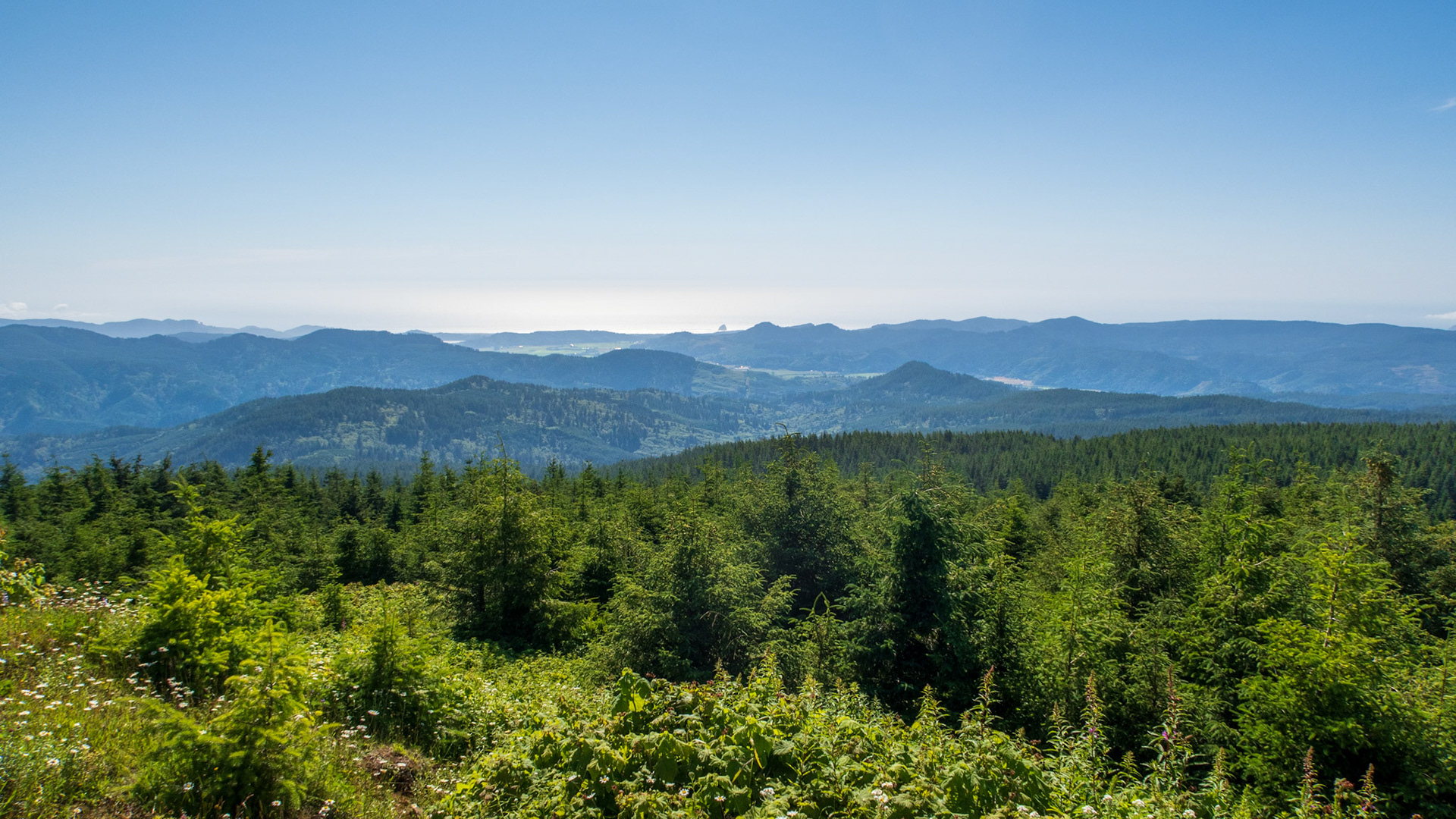 Mount Hebo View Point
