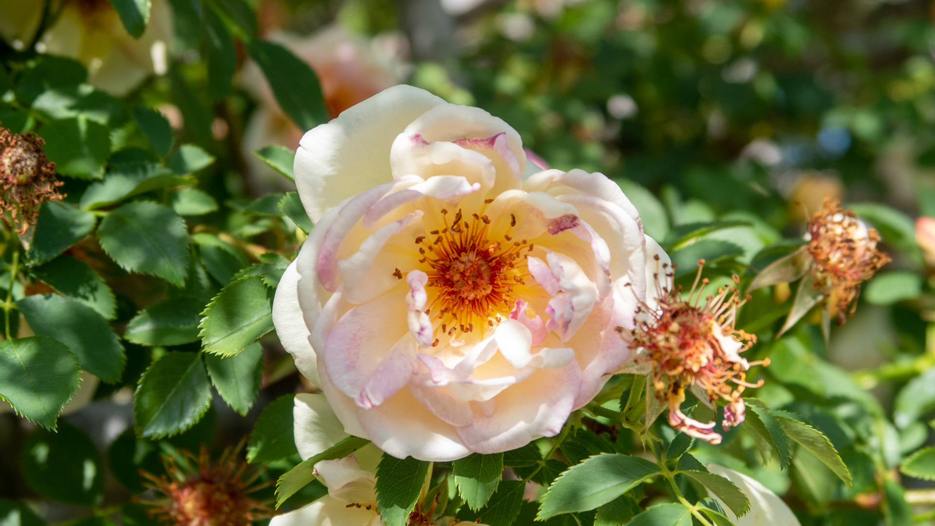 Reno - Riverwest Resort